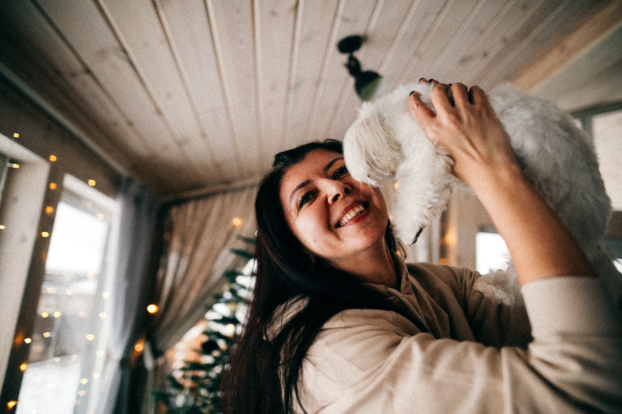 Колючий декабрь. Соня Черных (sophieblack)