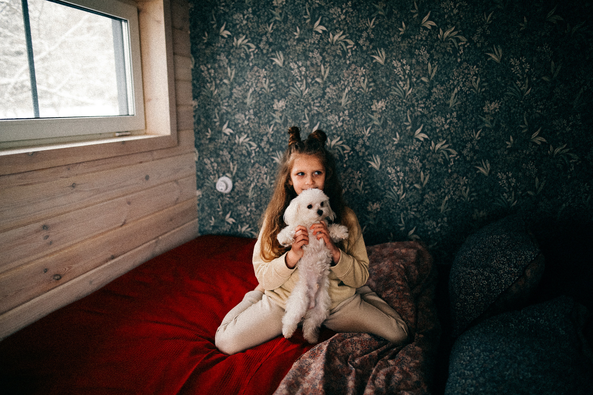 Колючий декабрь. Соня Черных (sophieblack)