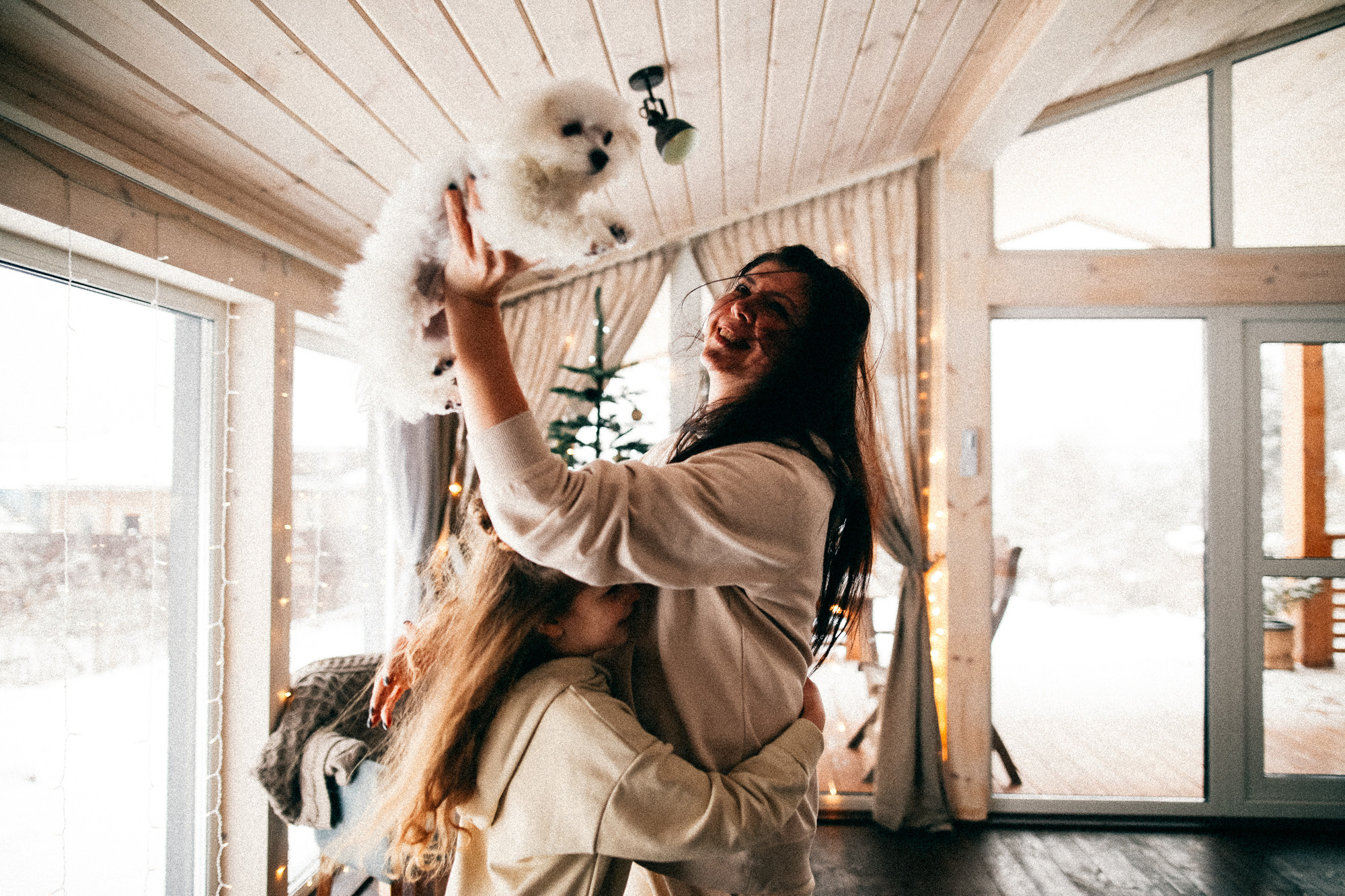 Колючий декабрь. Соня Черных (sophieblack)