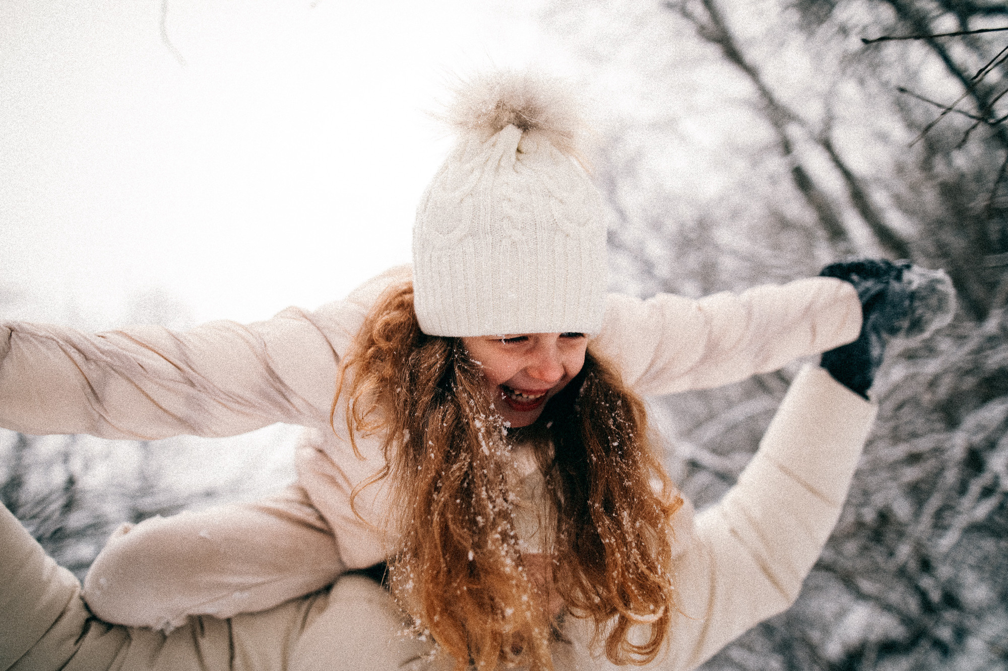 Колючий декабрь. Соня Черных (sophieblack)