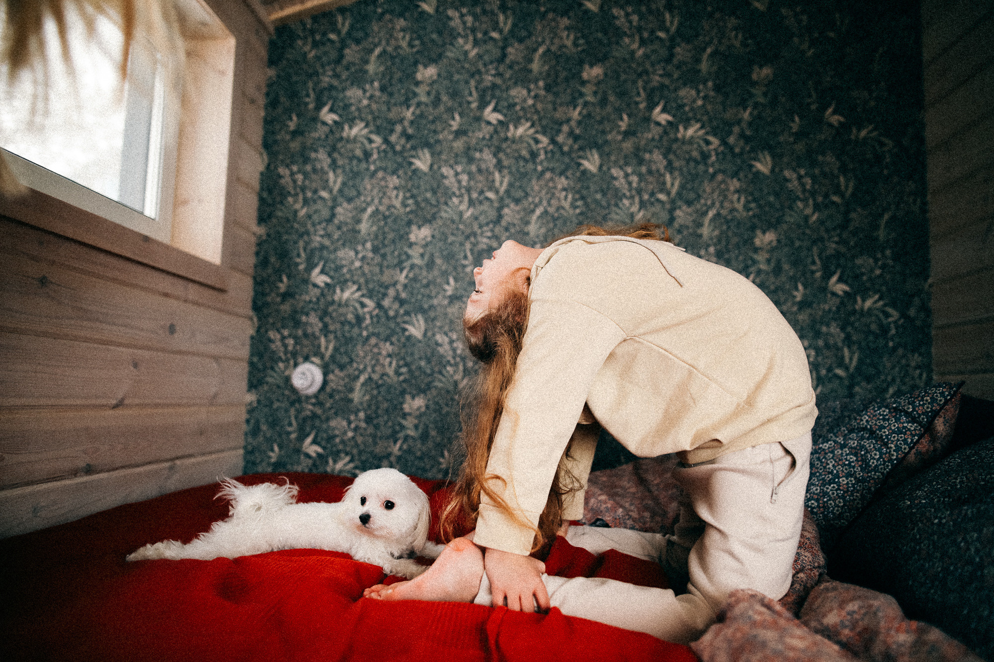 Колючий декабрь. Соня Черных (sophieblack)