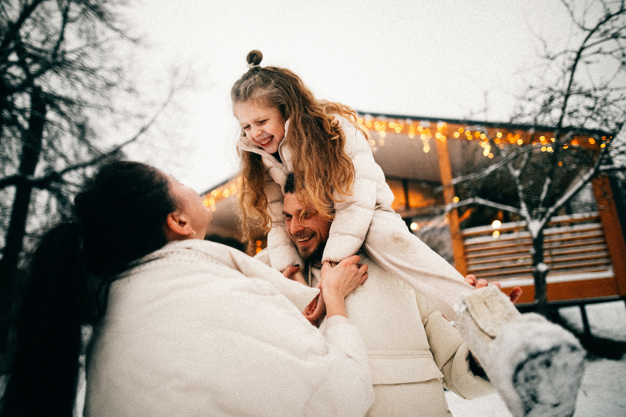 Колючий декабрь. Соня Черных (sophieblack)