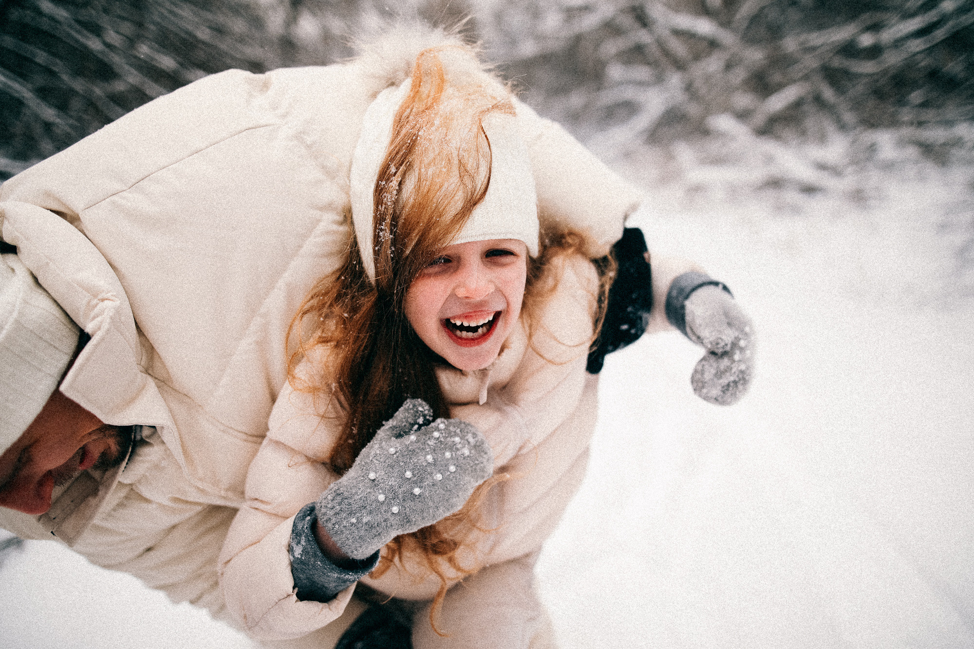 Колючий декабрь. Соня Черных (sophieblack)