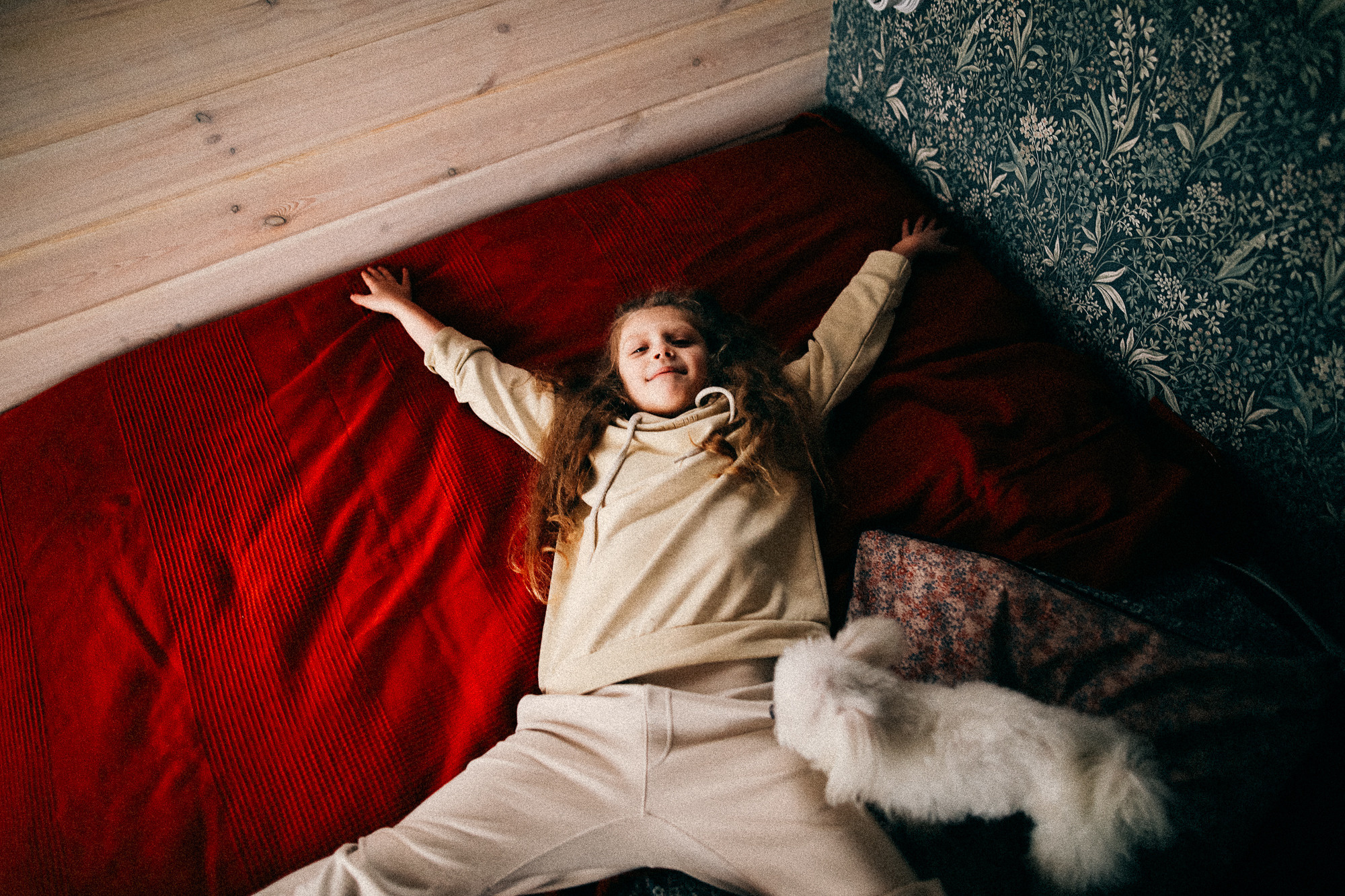 Колючий декабрь. Соня Черных (sophieblack)