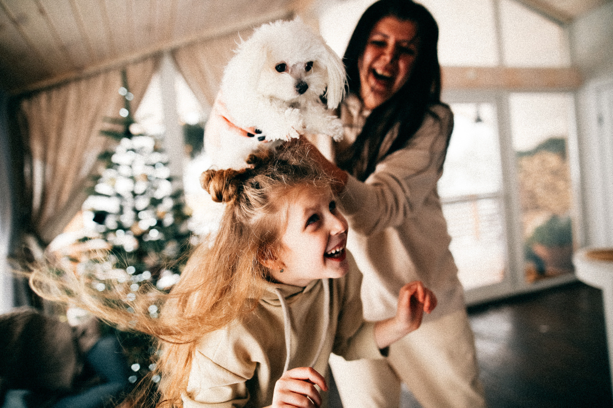 Колючий декабрь. Соня Черных (sophieblack)