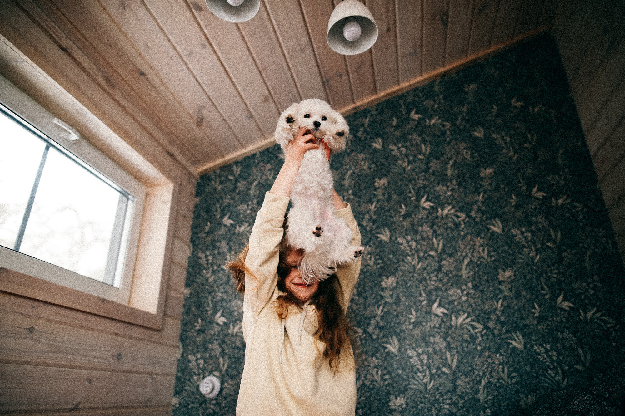 Колючий декабрь. Соня Черных (sophieblack)