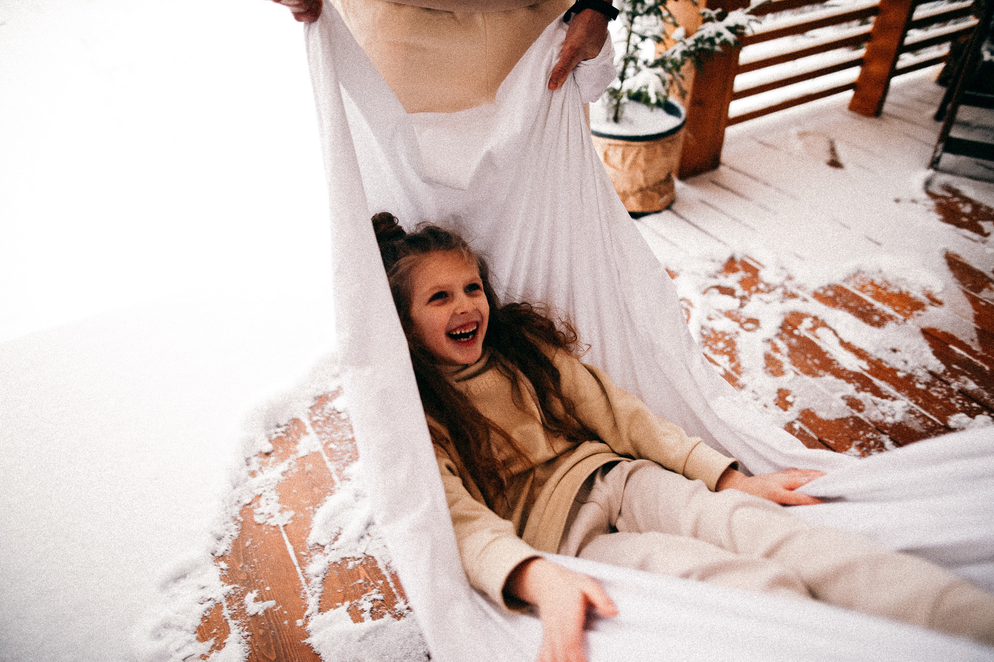 Колючий декабрь. Соня Черных (sophieblack)