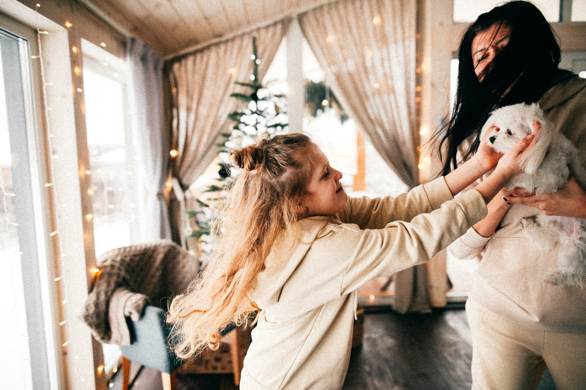 Колючий декабрь. Соня Черных (sophieblack)