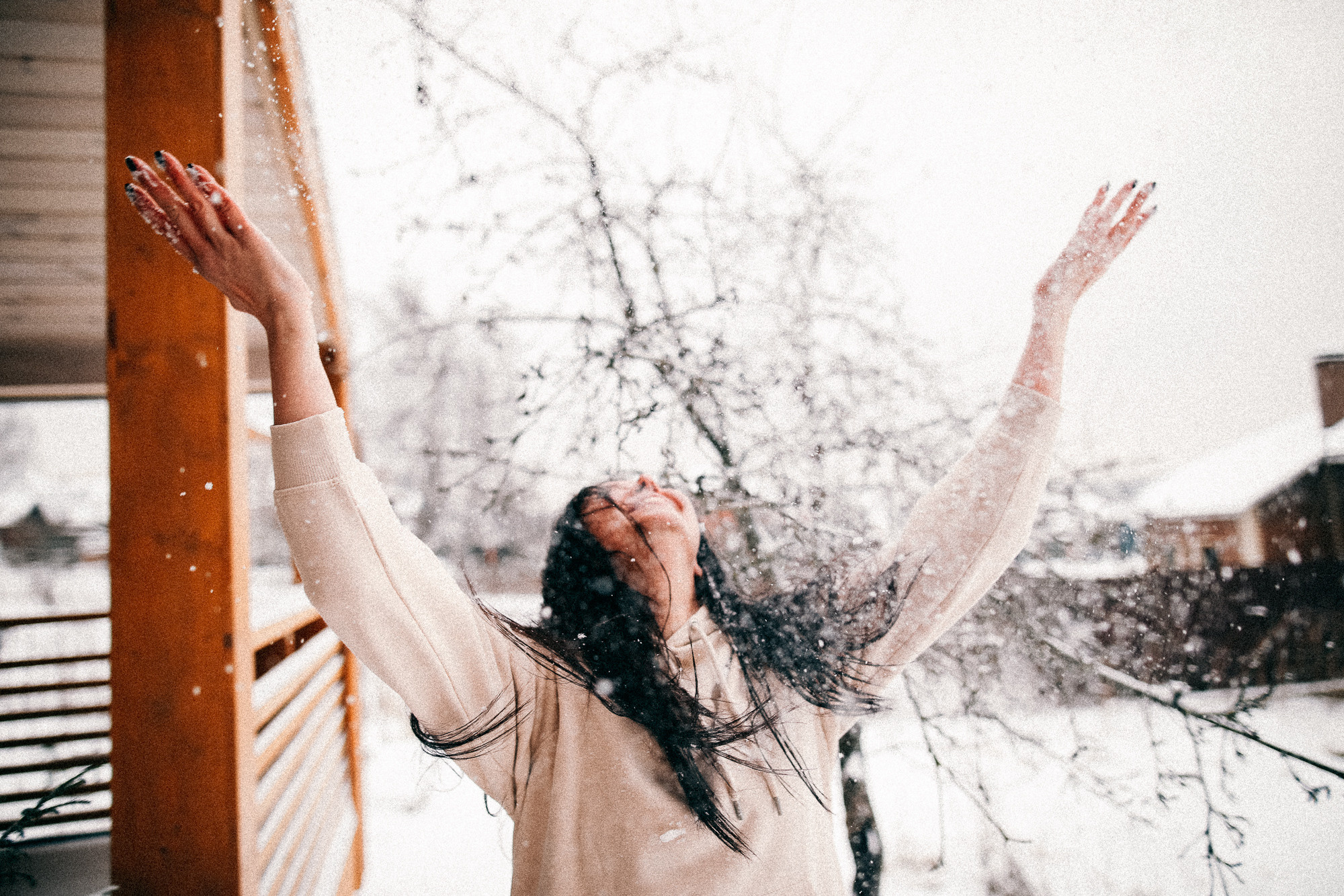 Колючий декабрь. Соня Черных (sophieblack)