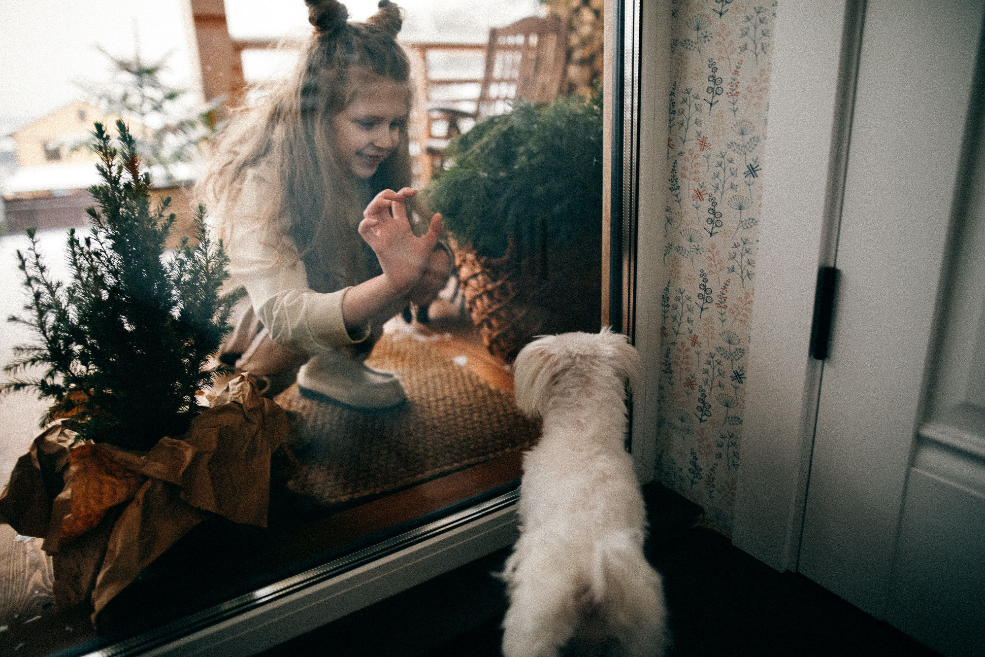 Колючий декабрь. Соня Черных (sophieblack)