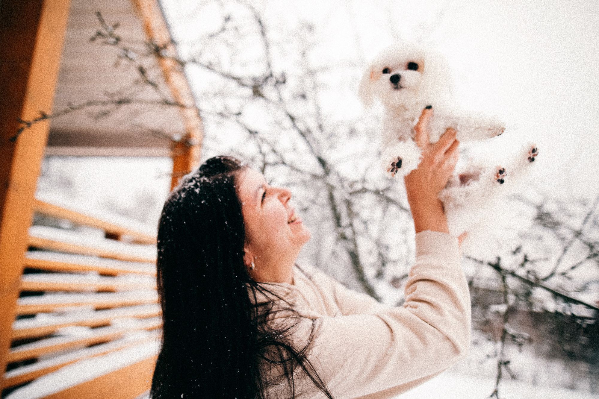 Колючий декабрь. Соня Черных (sophieblack)