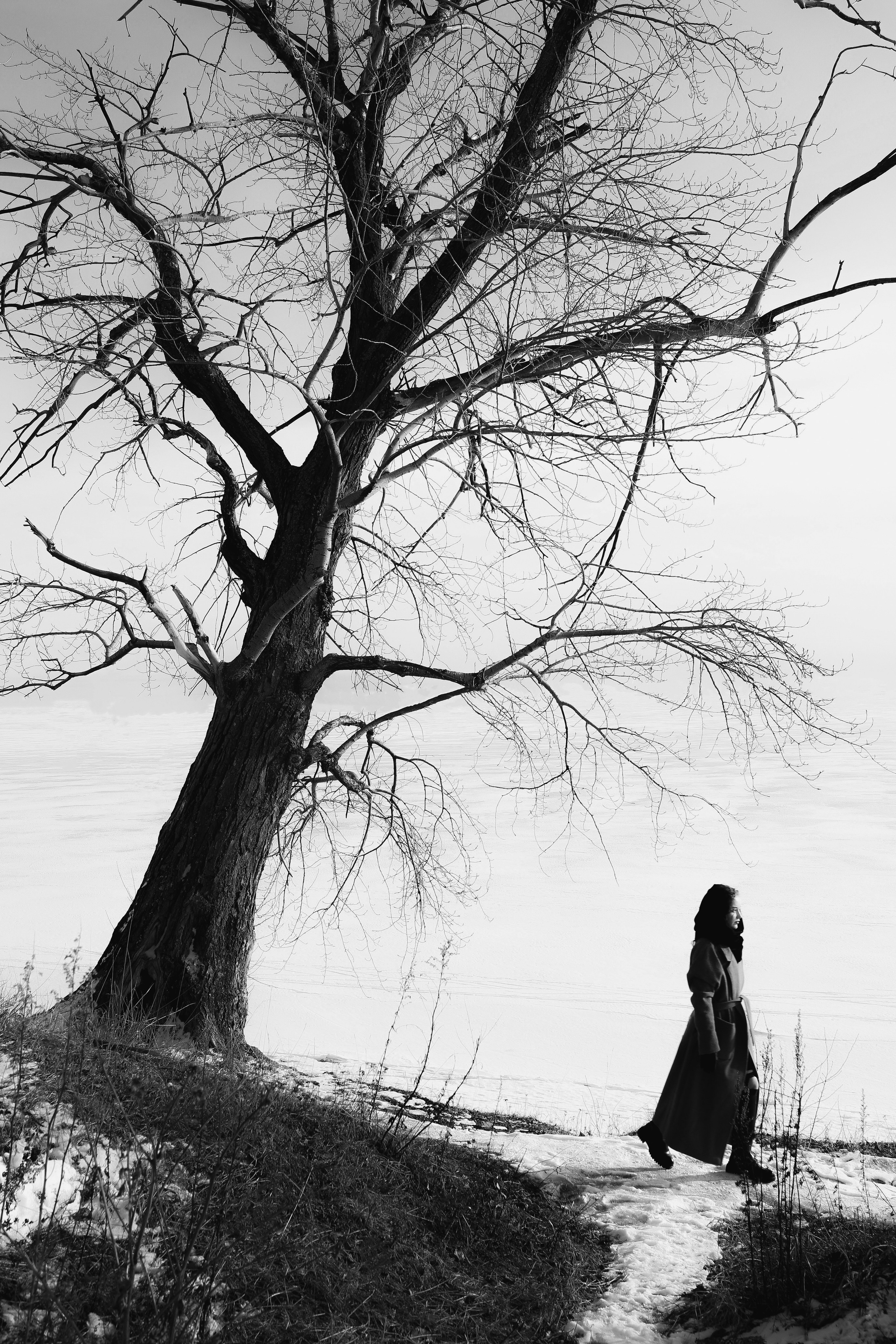 Nastya. Портретные и свадебные съемки