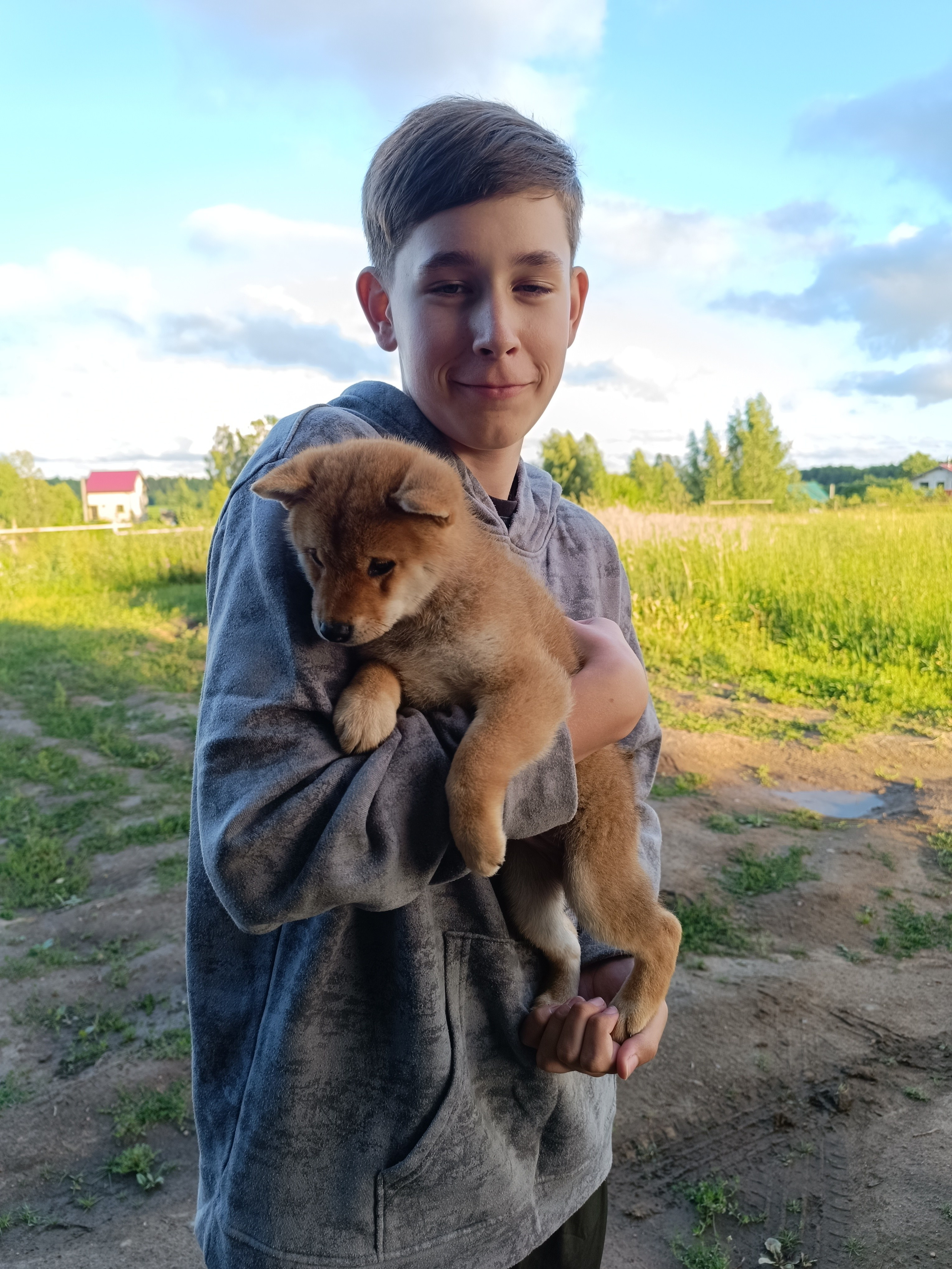 Сиба Rubylight Germes питомник Рубилайт