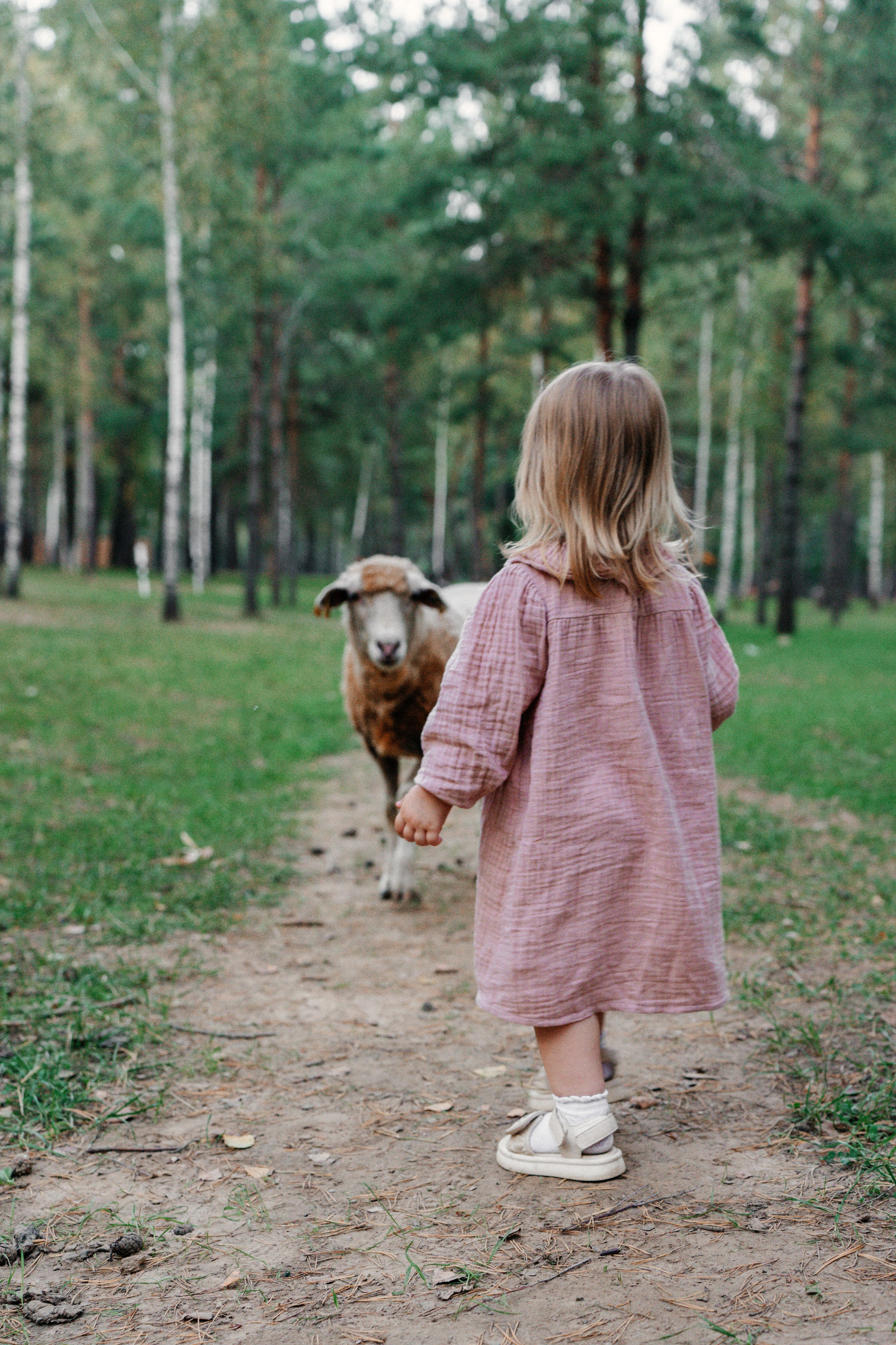 Диприз — в мире диких животных. Ваш семейный фотограф в Минске — Вика Трегубова
