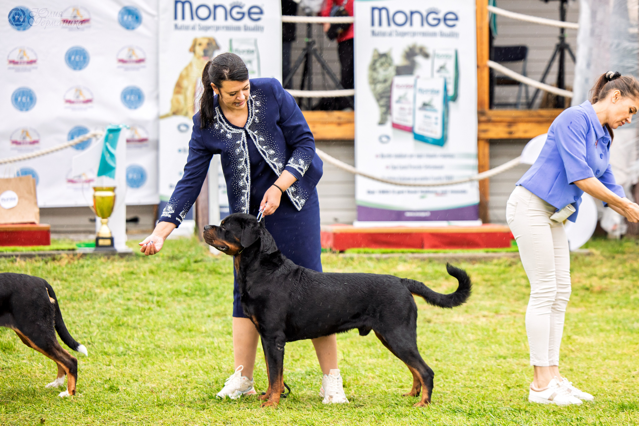 Армения,Ереван 3хCACIB 15-17.10.2024. Фотограф-анималист Юлия Германика