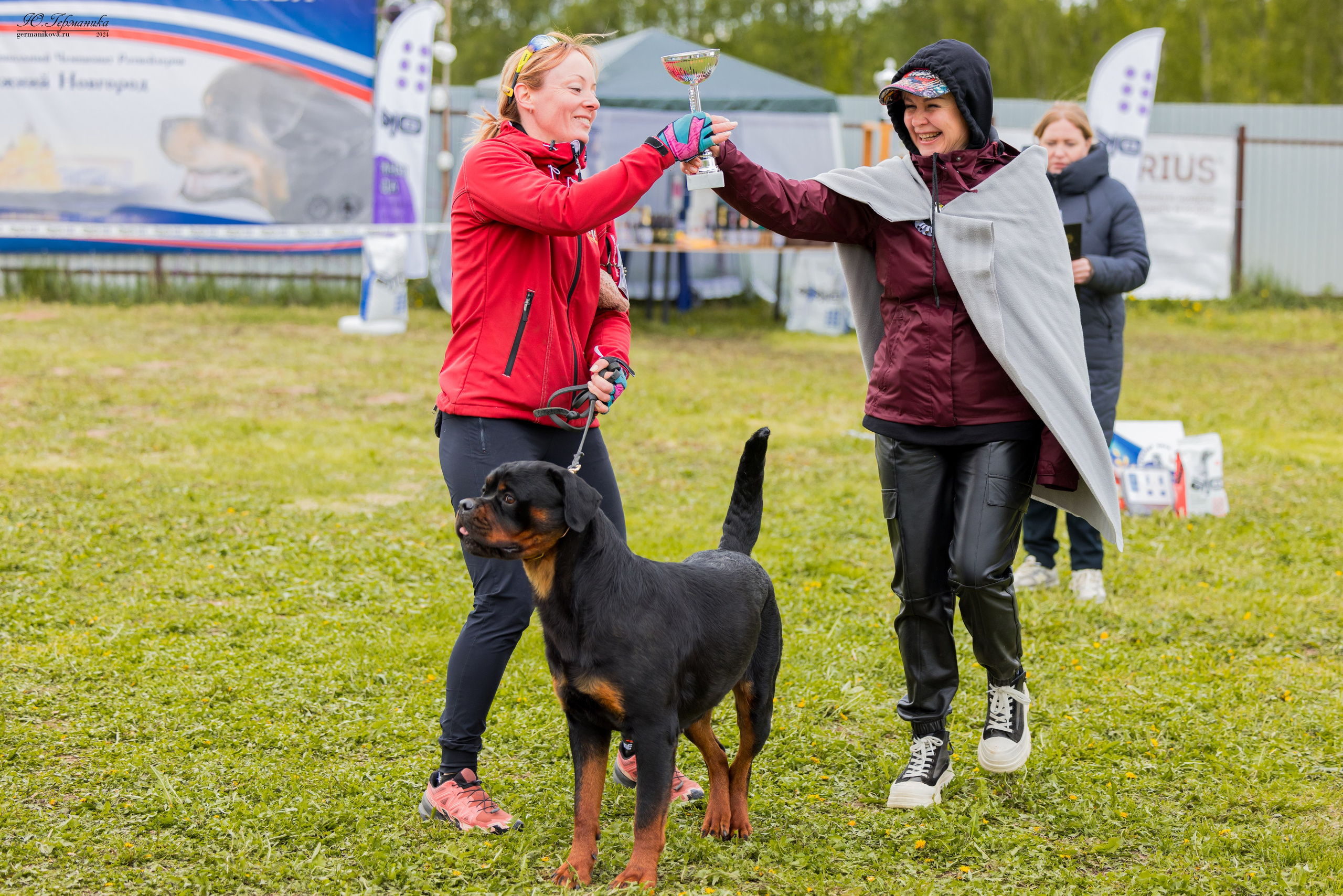 Нижний Новгород 11-12.05.2024 моно ротвейлеров. Фотограф-анималист Юлия Германика