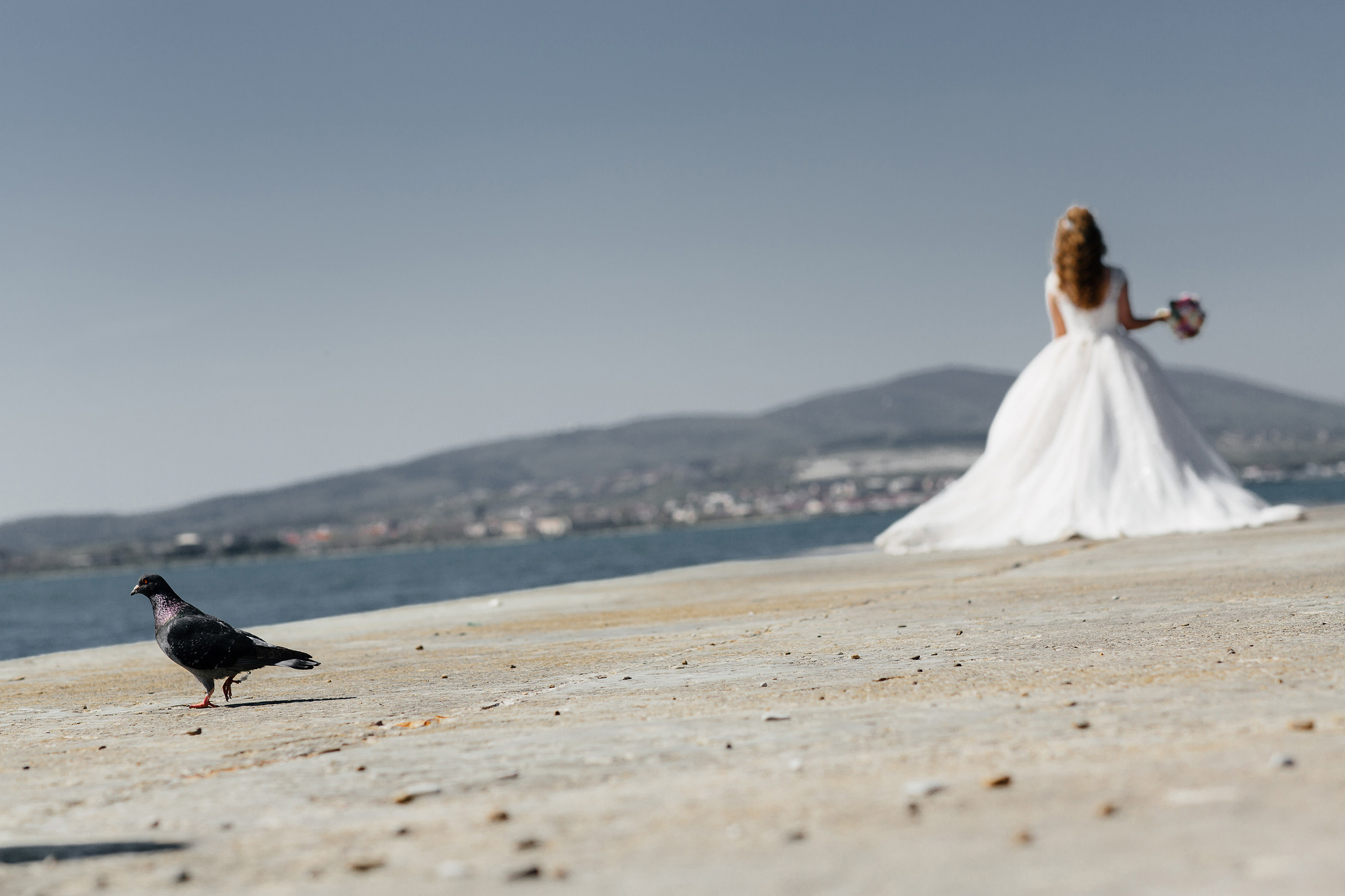 Alex&Viktoria. Worldwide Wedding Photography Demskoy Studio