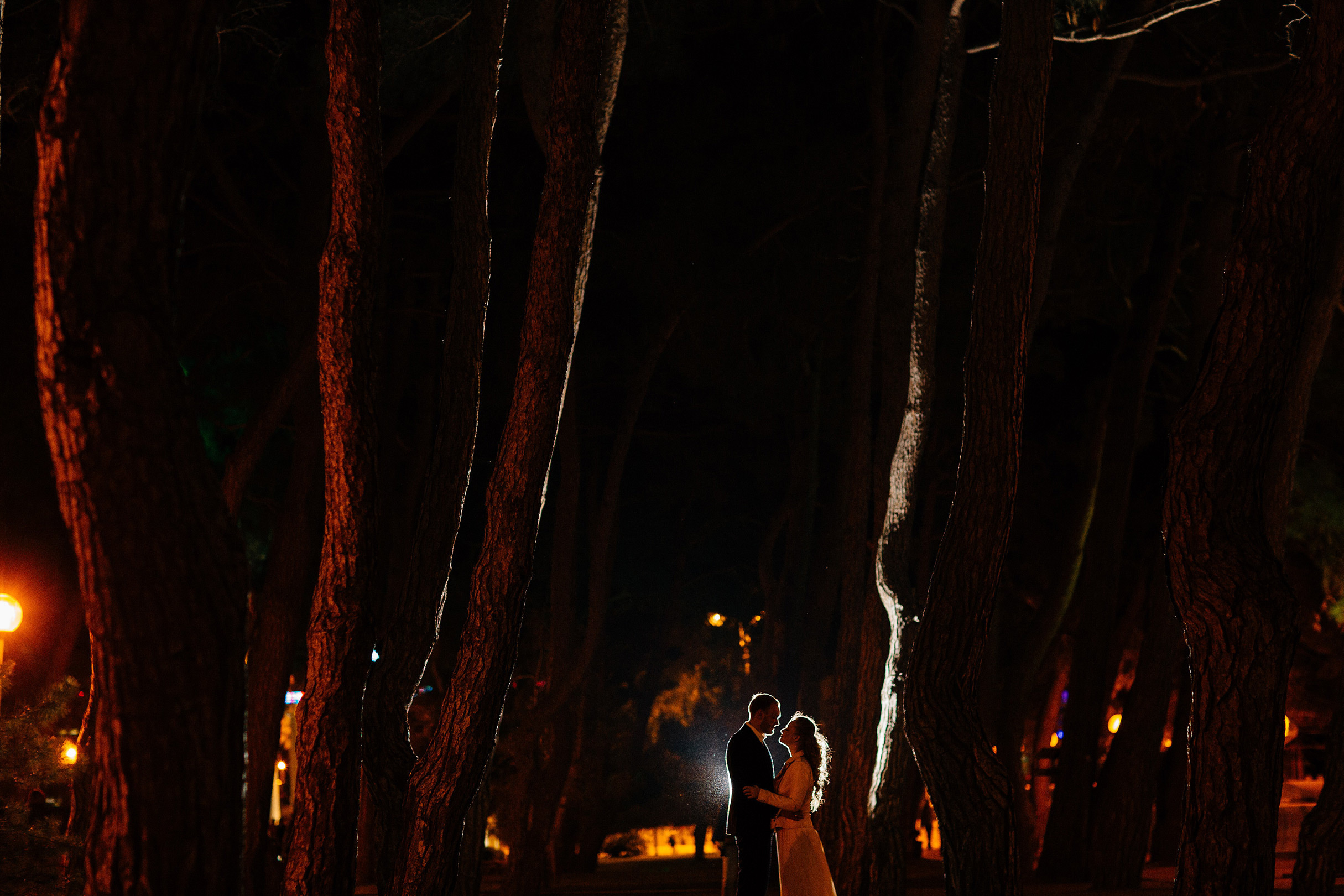 Alex&Viktoria. Worldwide Wedding Photography Demskoy Studio