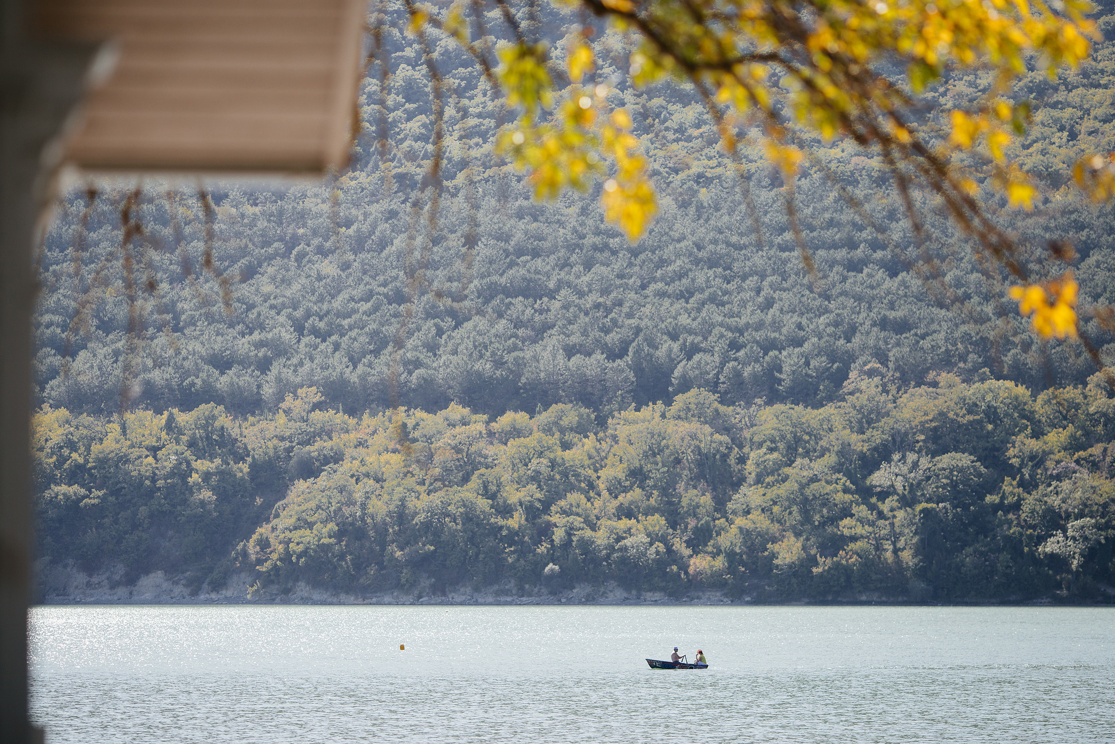 Свадьба  в Абрау-Дюрсо
