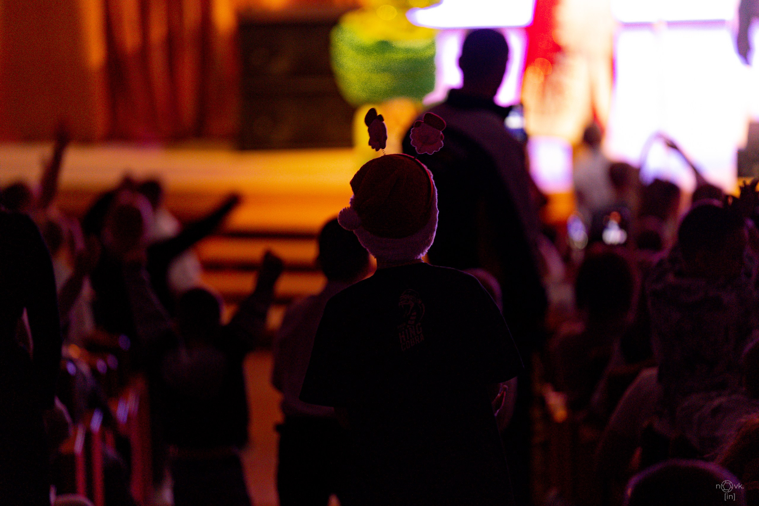 Ёлка. ФОТОГРАФ ИВАН НОВИКОВ | СТАВРОПОЛЬ