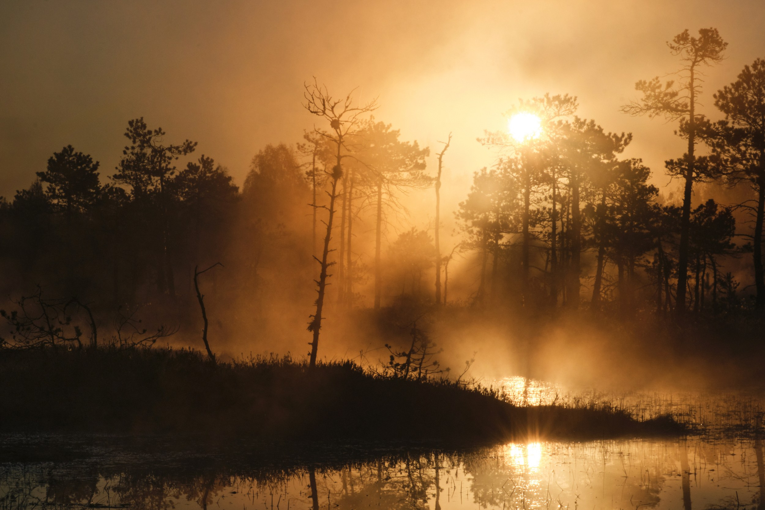 Северные дневники. Алиса Северная. Визуальные исследования. Пейзажная и документальная фотография