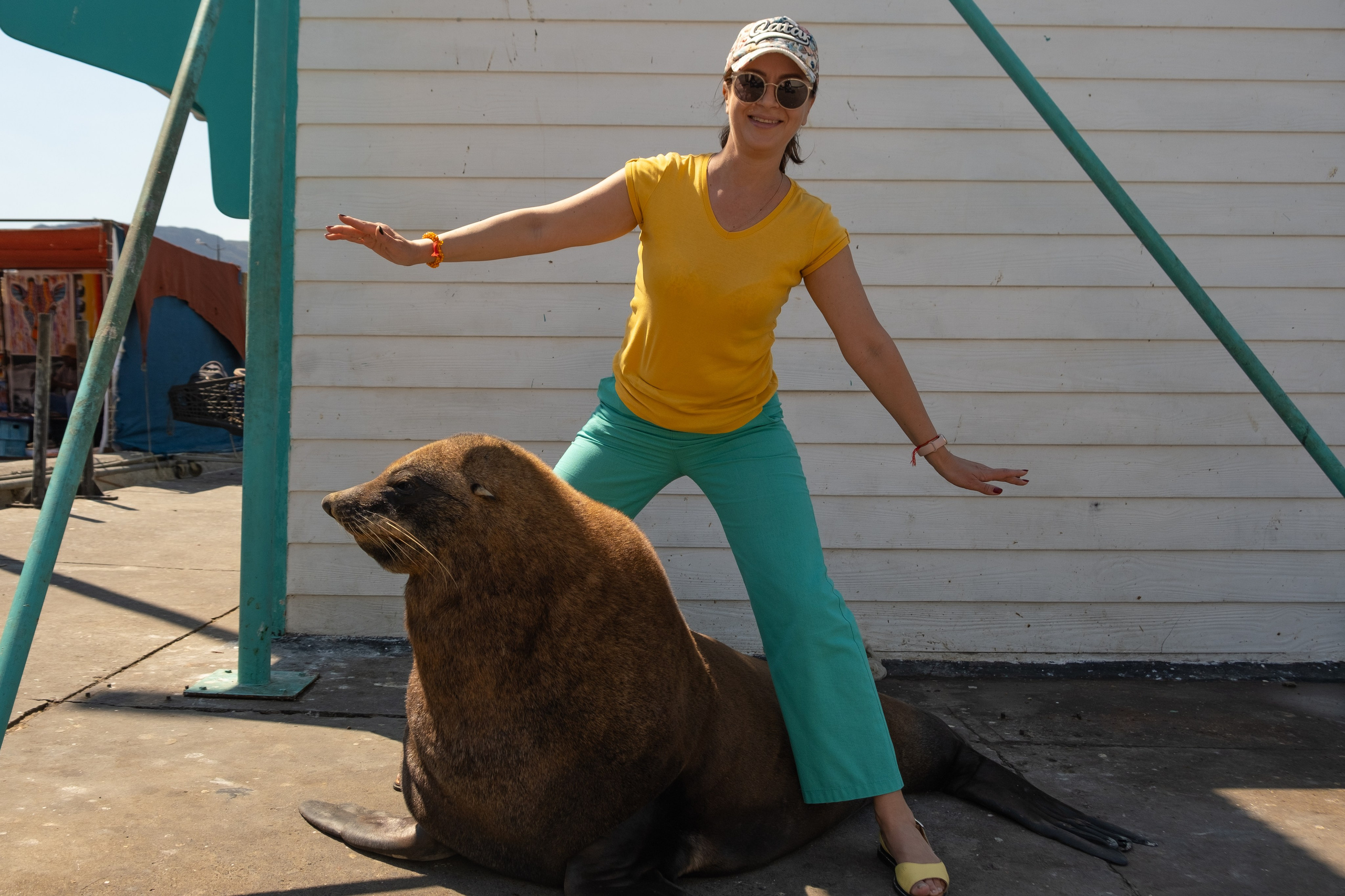 Морские котики и закат. Фотографии из путешествий