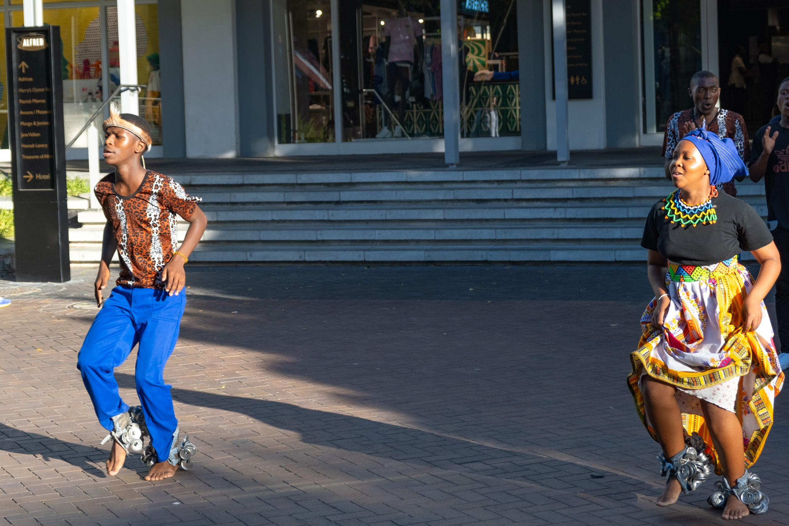 Морские котики и закат. Фотографии из путешествий