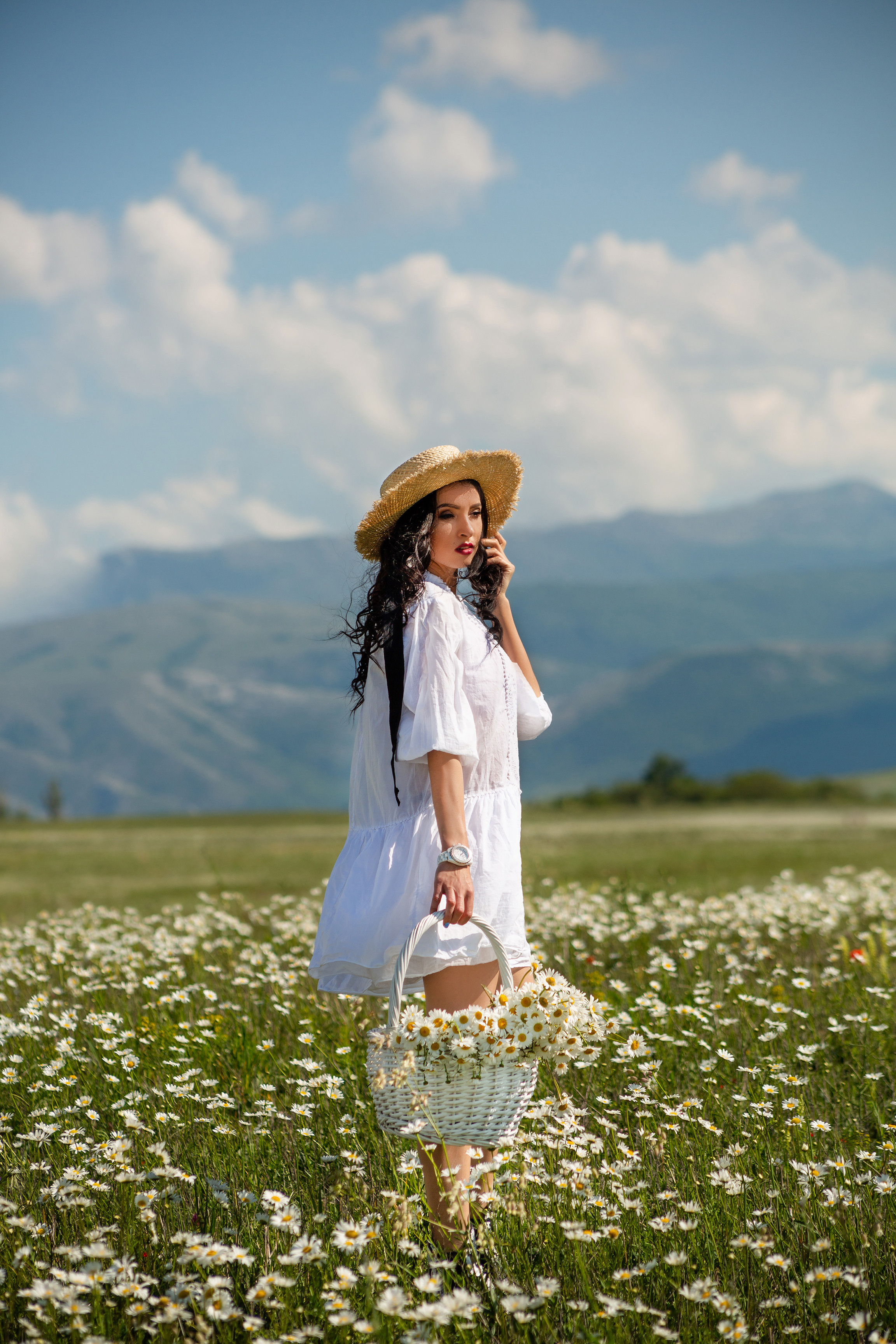 ромашковое поле 