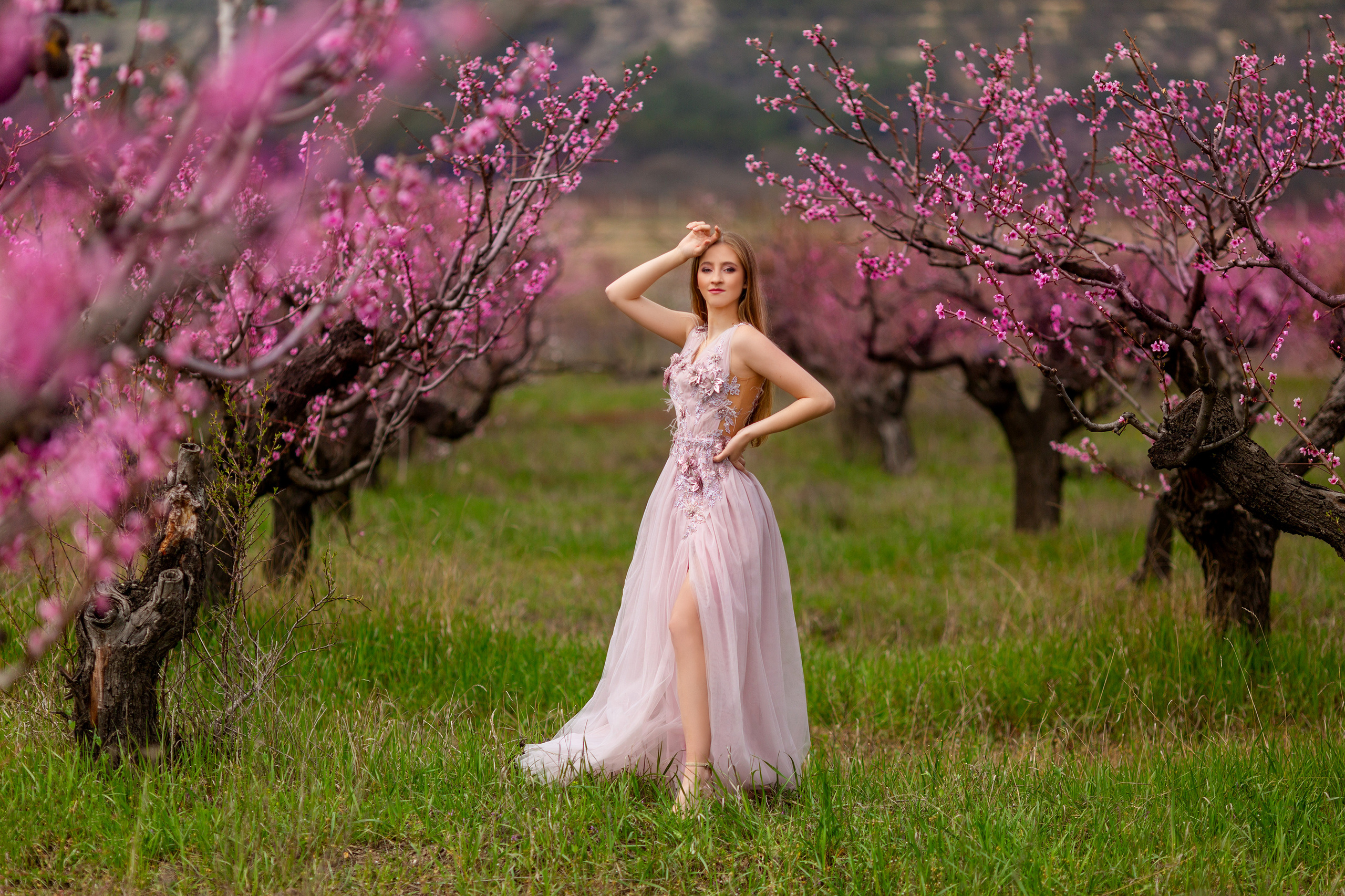 Фотосессия в персиковых садах в Бахчисарае. Свадебный и семейный Фотограф в Крыму и Симферополе Виктория Максимова