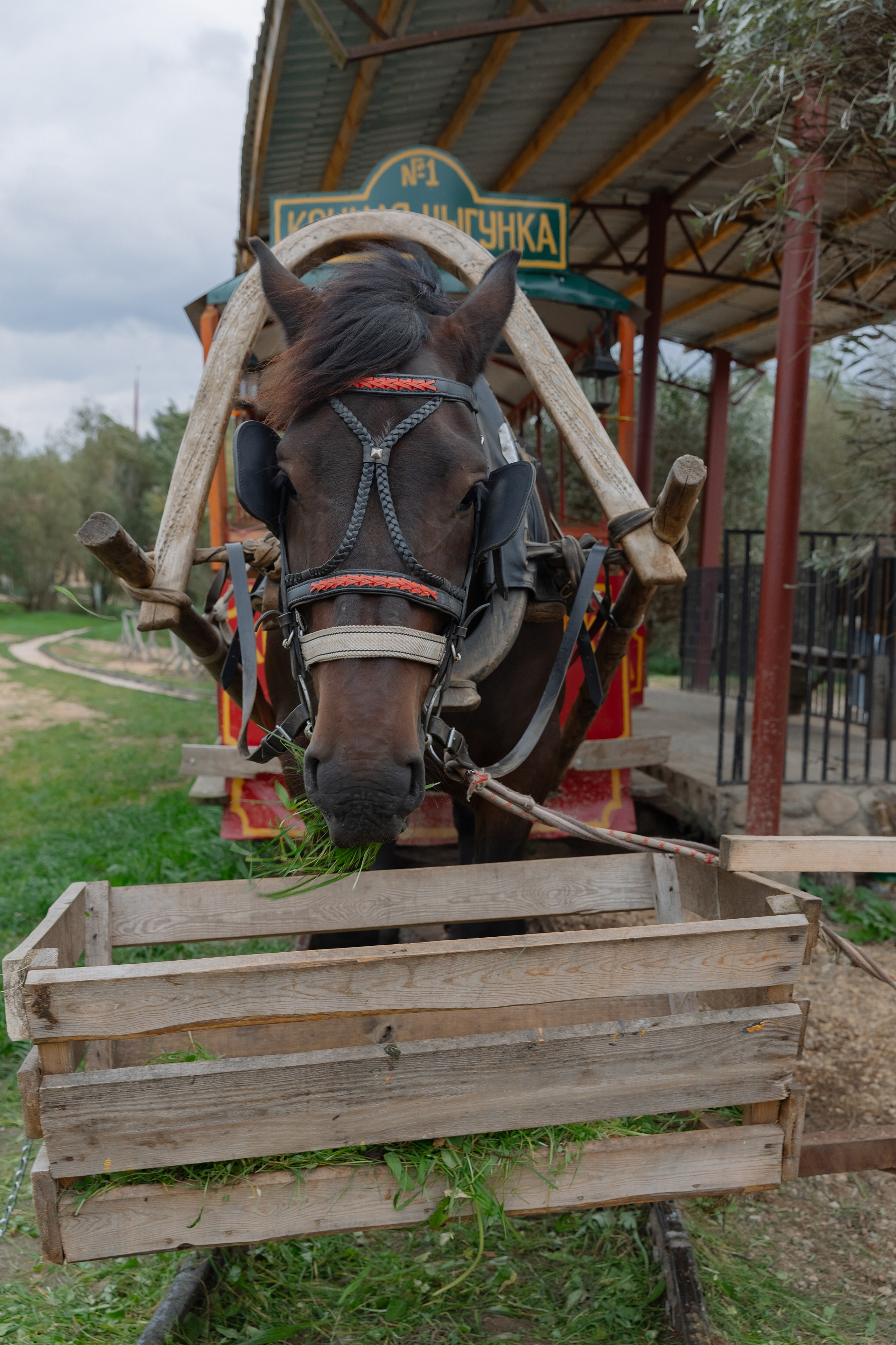 Корпоративная фотосъемка для ОАО Белагропромбанк в Суле в Загородном комплексе Westa. Свадебный фотограф в Минске/Беларуси Сергей Спиридонов