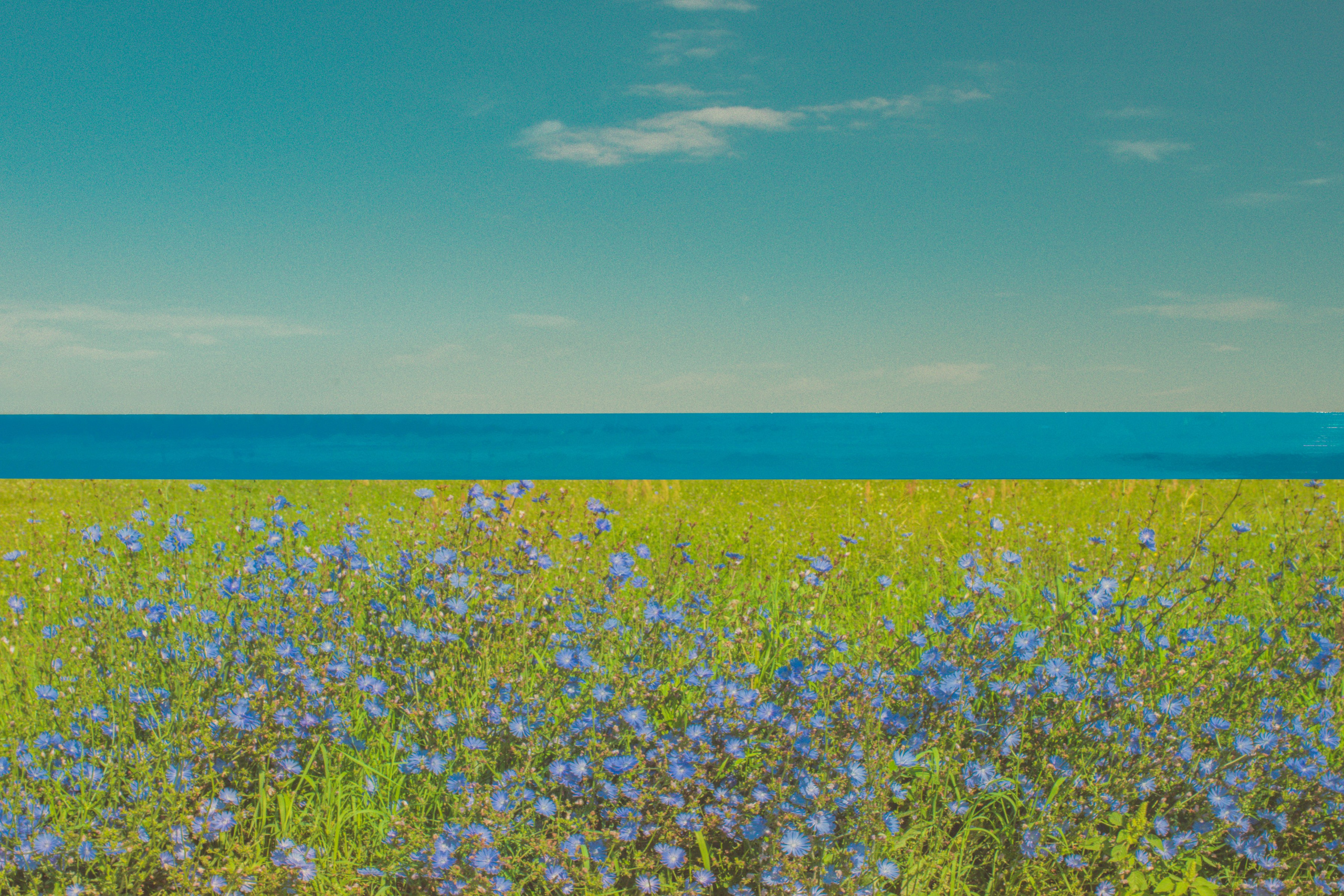 Горизонт. ALEXEY KRYLOV | Photography