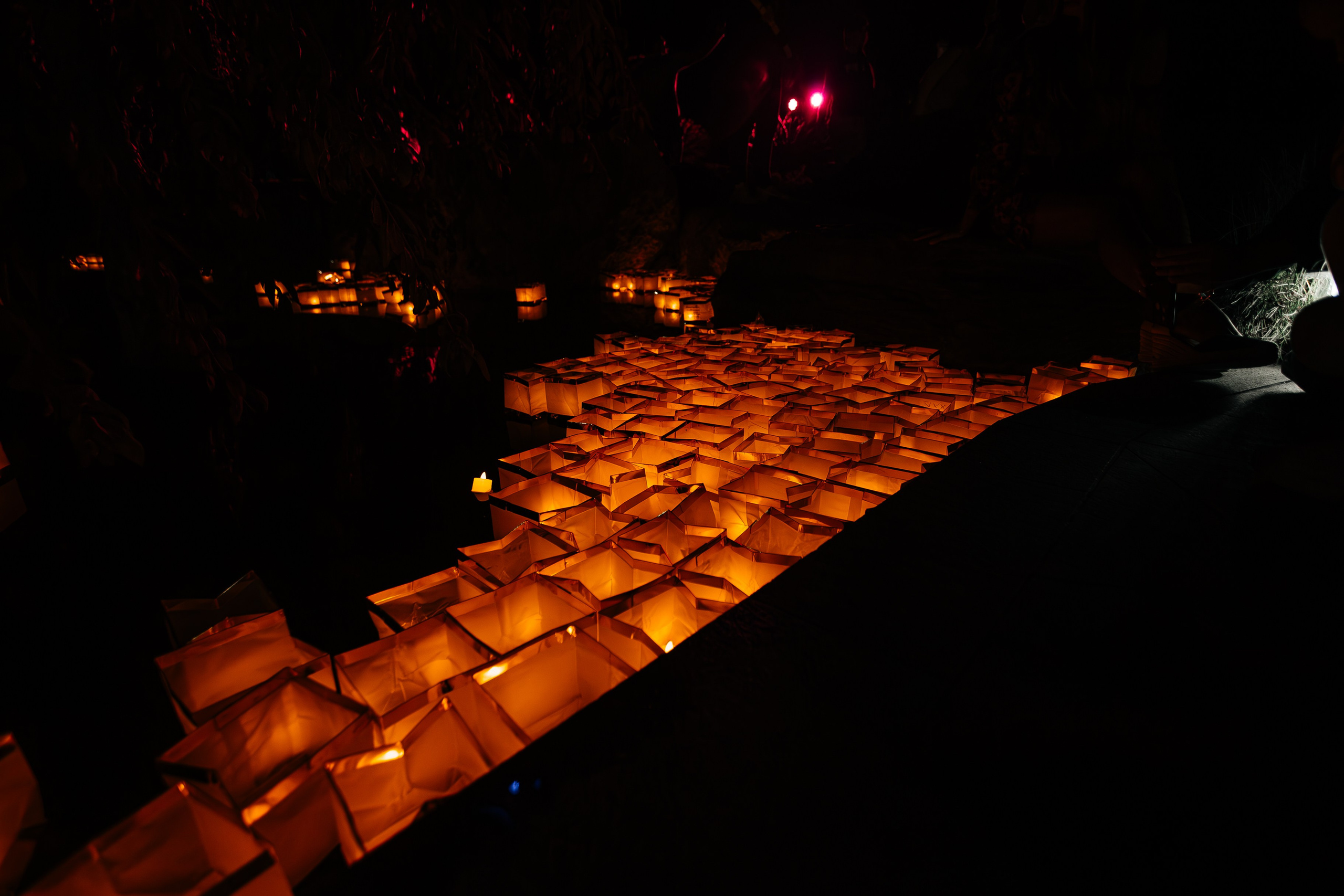 Мрия_Японский_сад_5.10.2024. Аминов Руслан | Фотограф