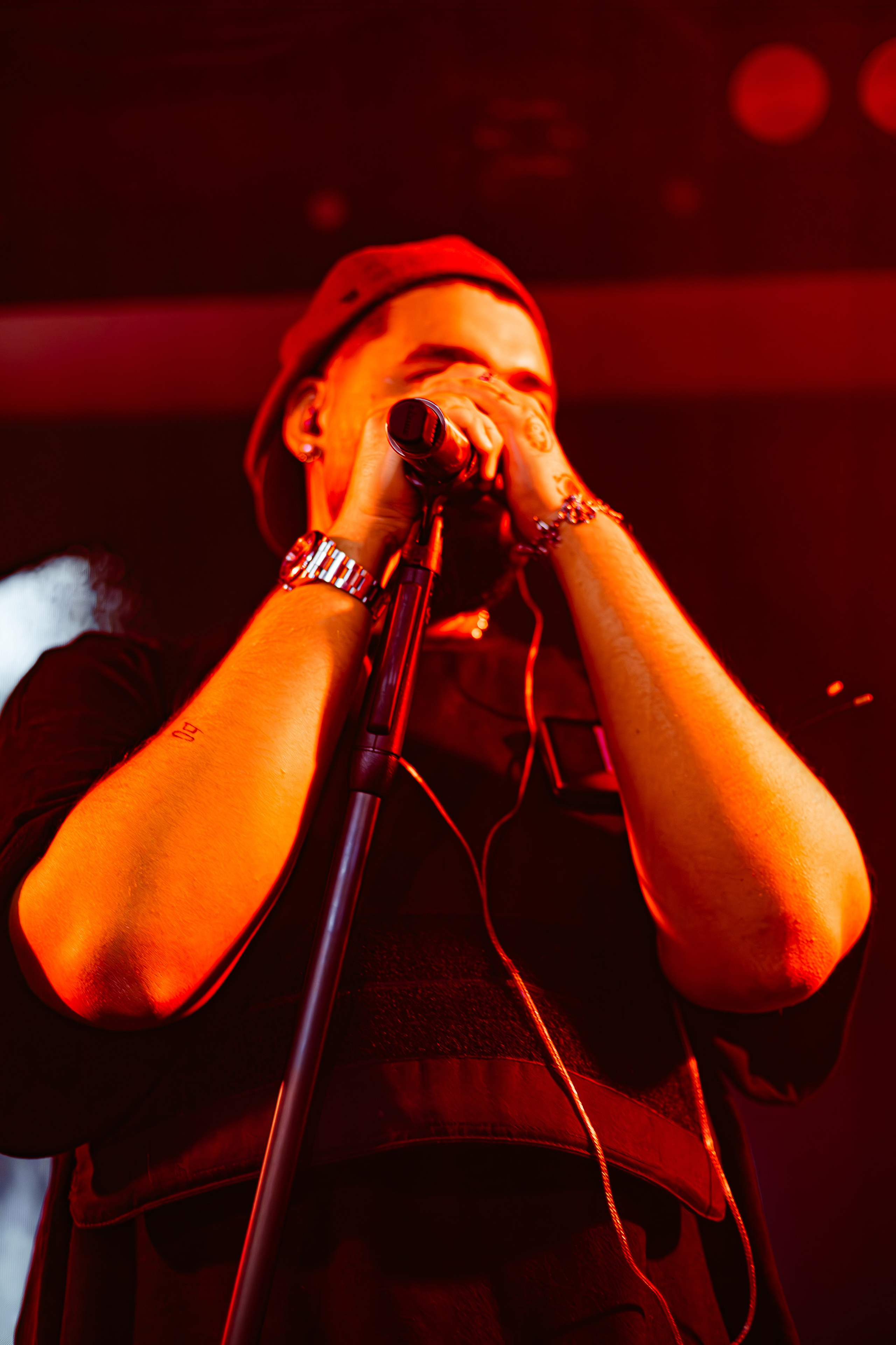 Чайка_на_пляже_Андро_Ялта_24.08.2024. Аминов Руслан | Фотограф