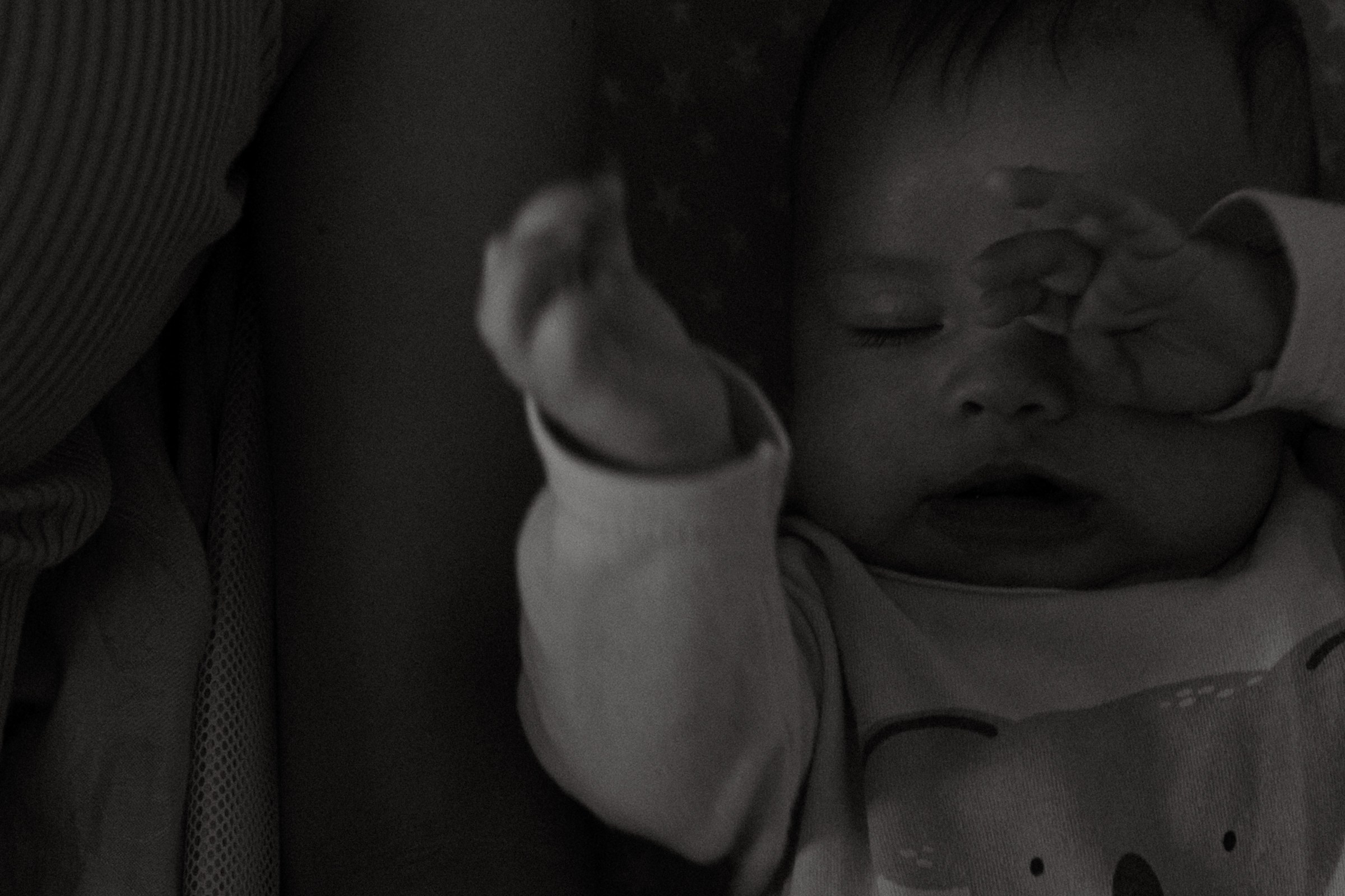 Тепло. Фотограф Daria Wilner