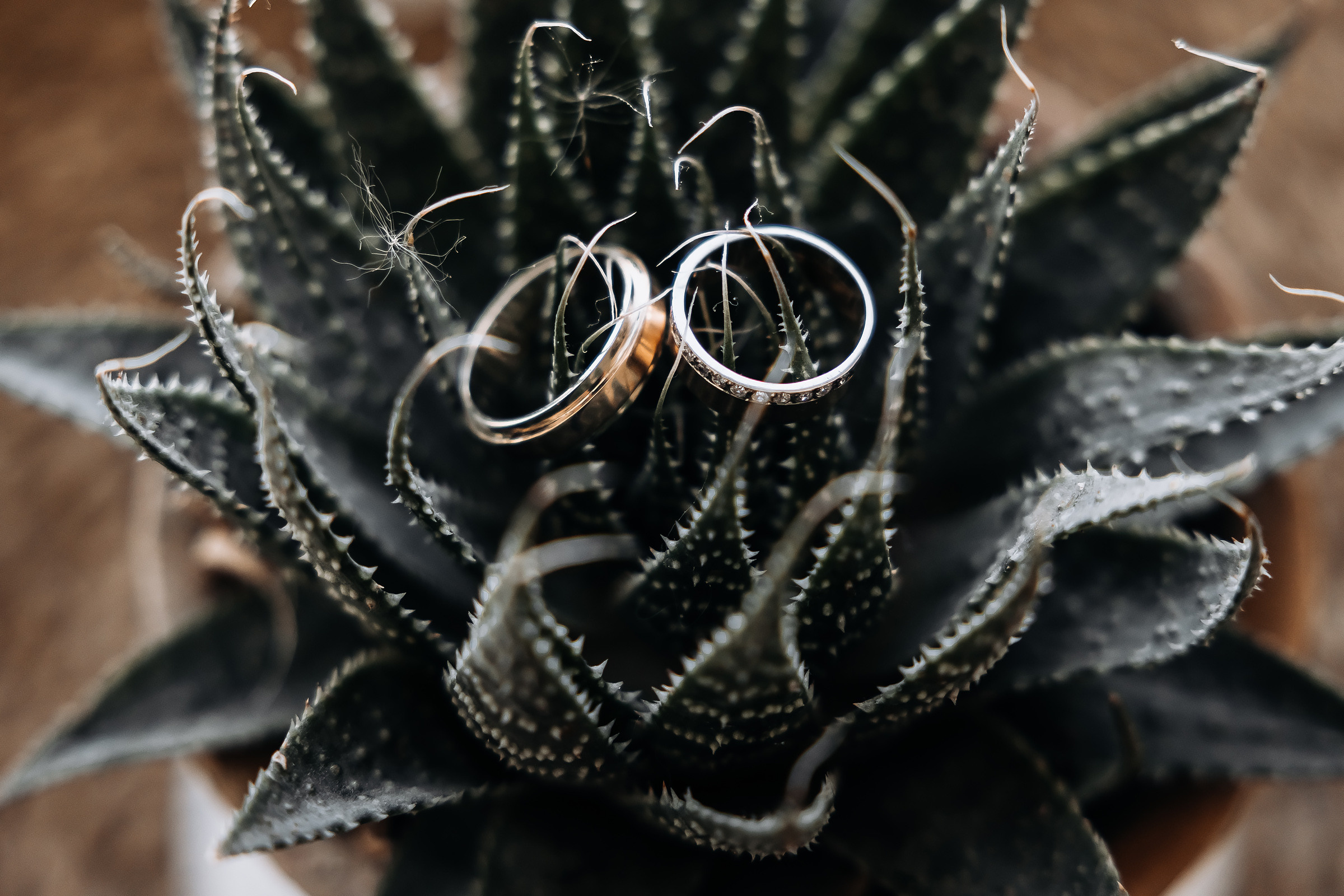 Алена и Игорь. Свадебный фотограф Луганск Андрей Кийко Краснодар