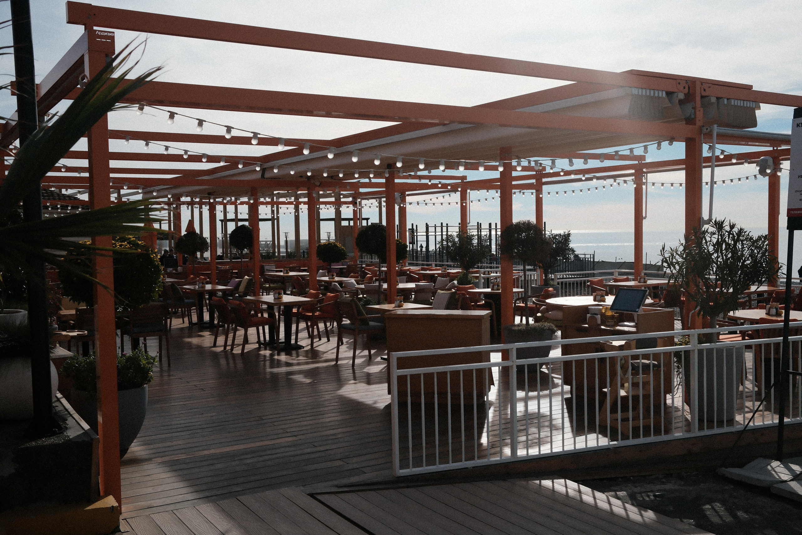 Фотографии зимнего Адлера. Алексей Торопов фотограф