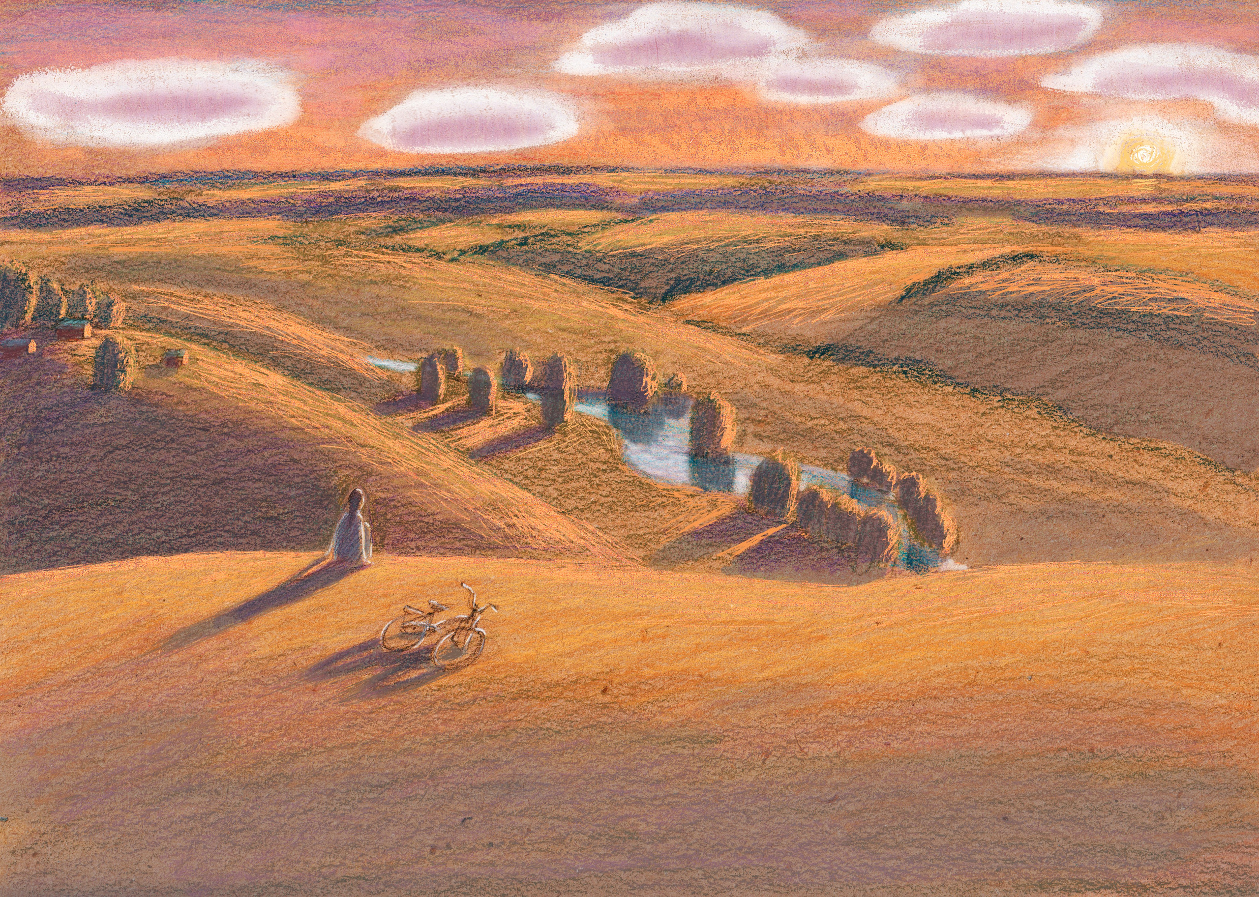 «Таинственный серый» книга Екатерины Мартиновской. Художник Карина Милосердова