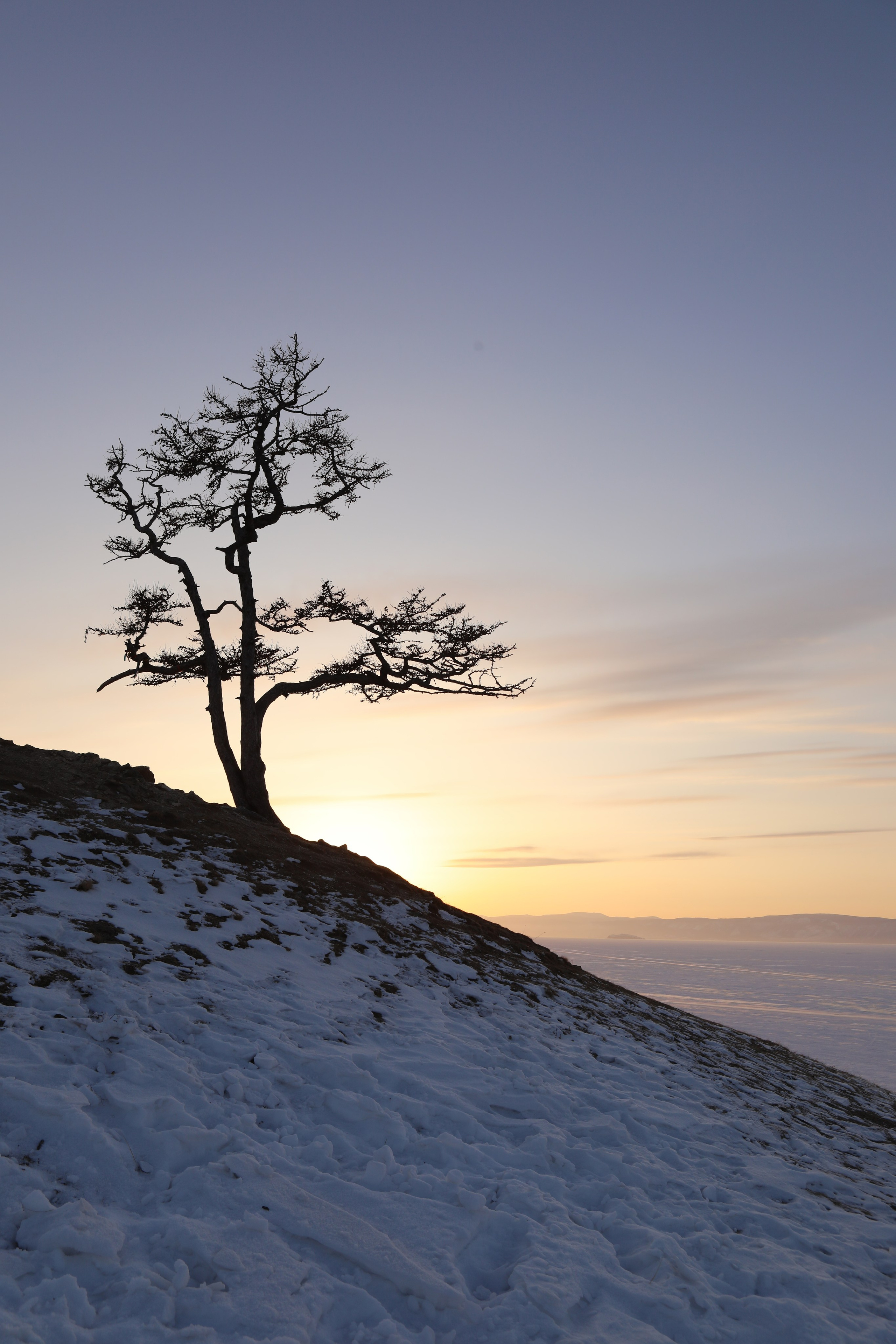 Интерьерные фотокартины. Фотограф Наталья Туева FineArt съёмка