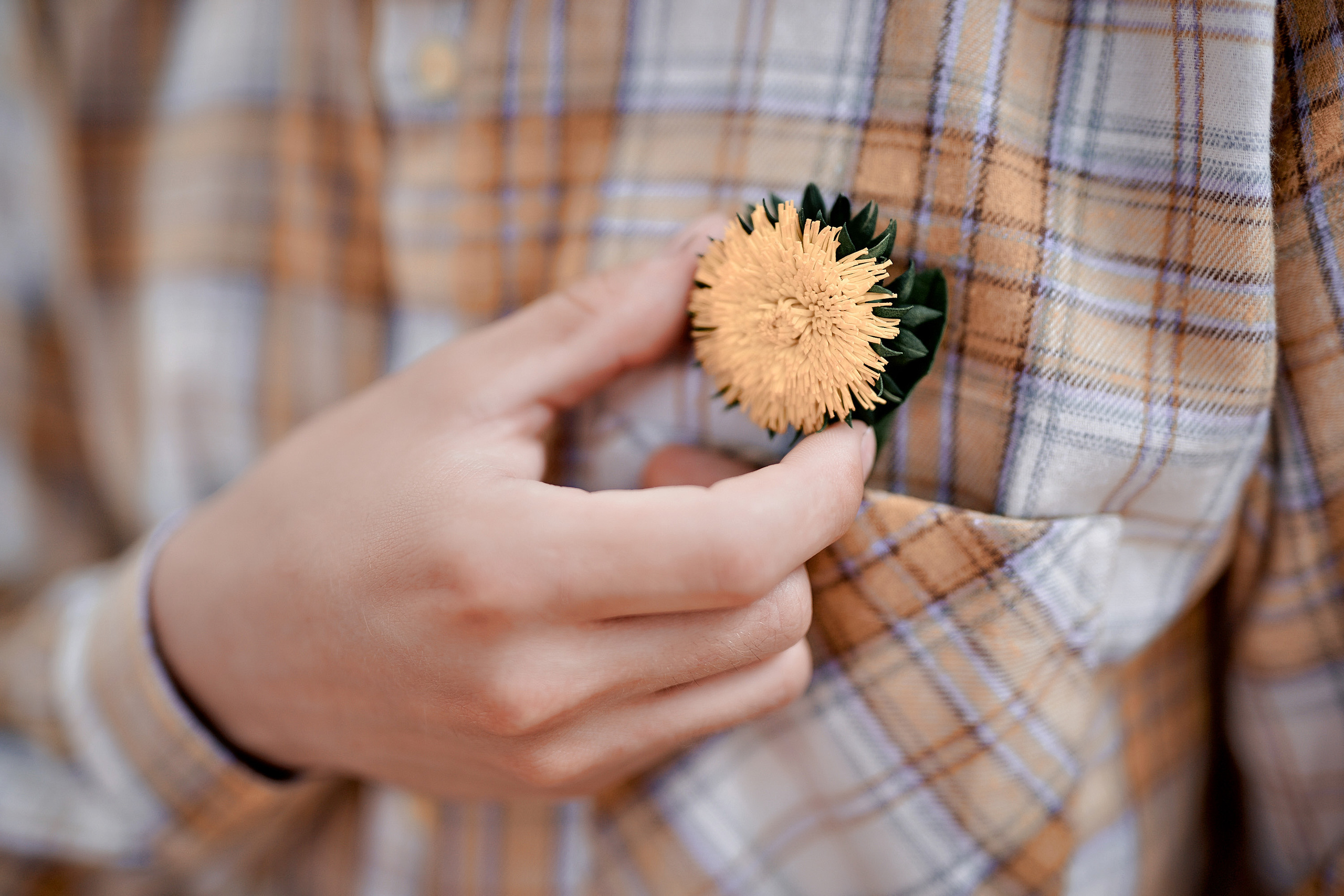 Ромашковая история. Фотограф Меняйло Евгений. Свадьба. Портрет. Репортаж. Семья. Контент