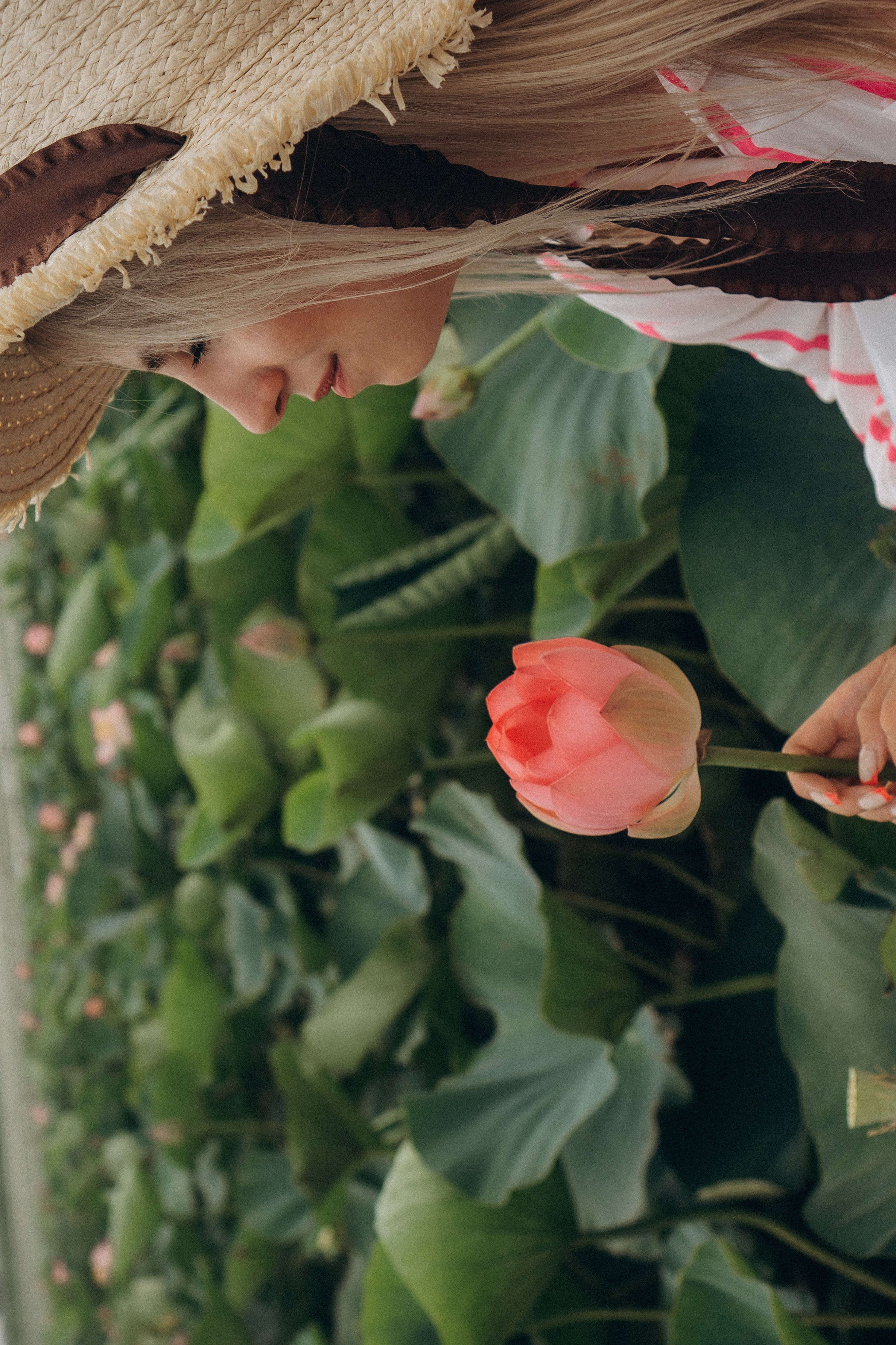 ЛОТОСОВАЯ ПОЛЯНА. Профессиональный фотограф, Санкт-Петербург — Виктория Богомолова