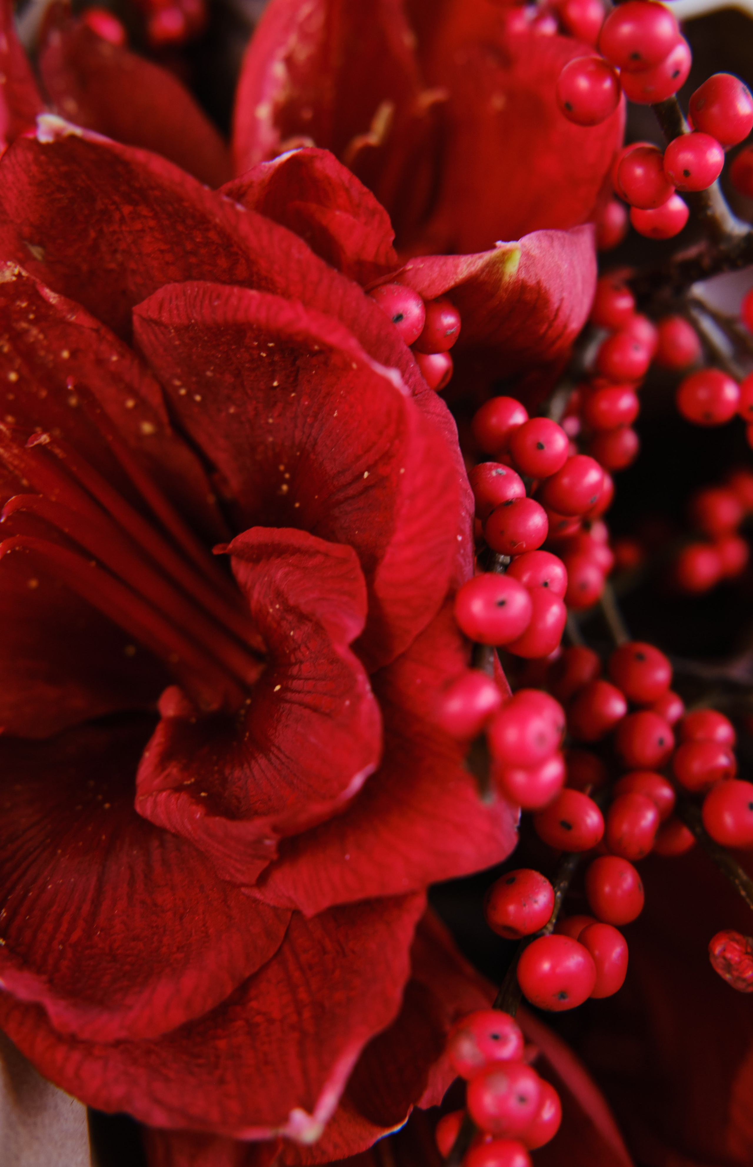 Привет, Букет! 2. Ася Ложкина фотограф Ижевск