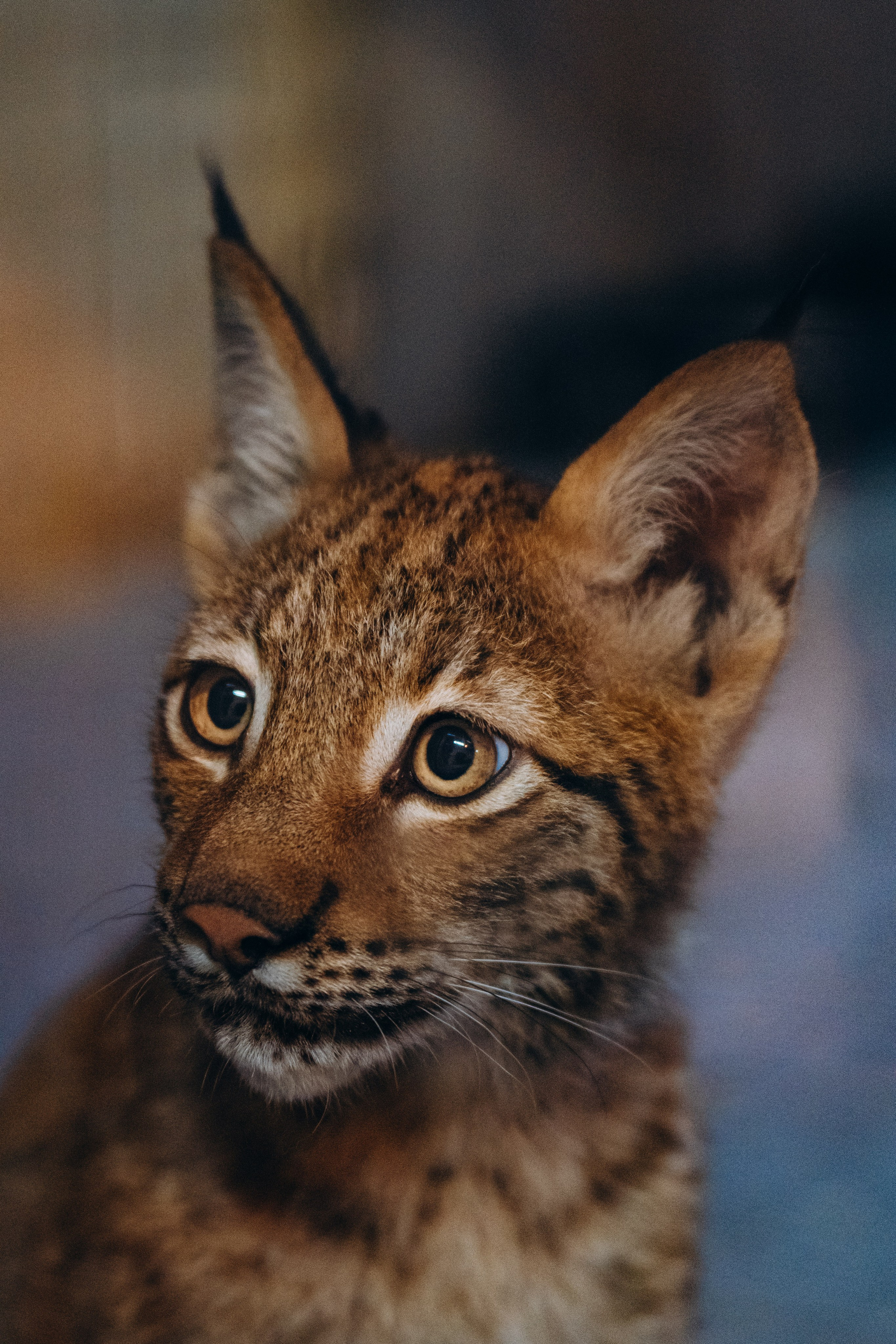 СЕВЕР. Event фотограф Степанова Александра