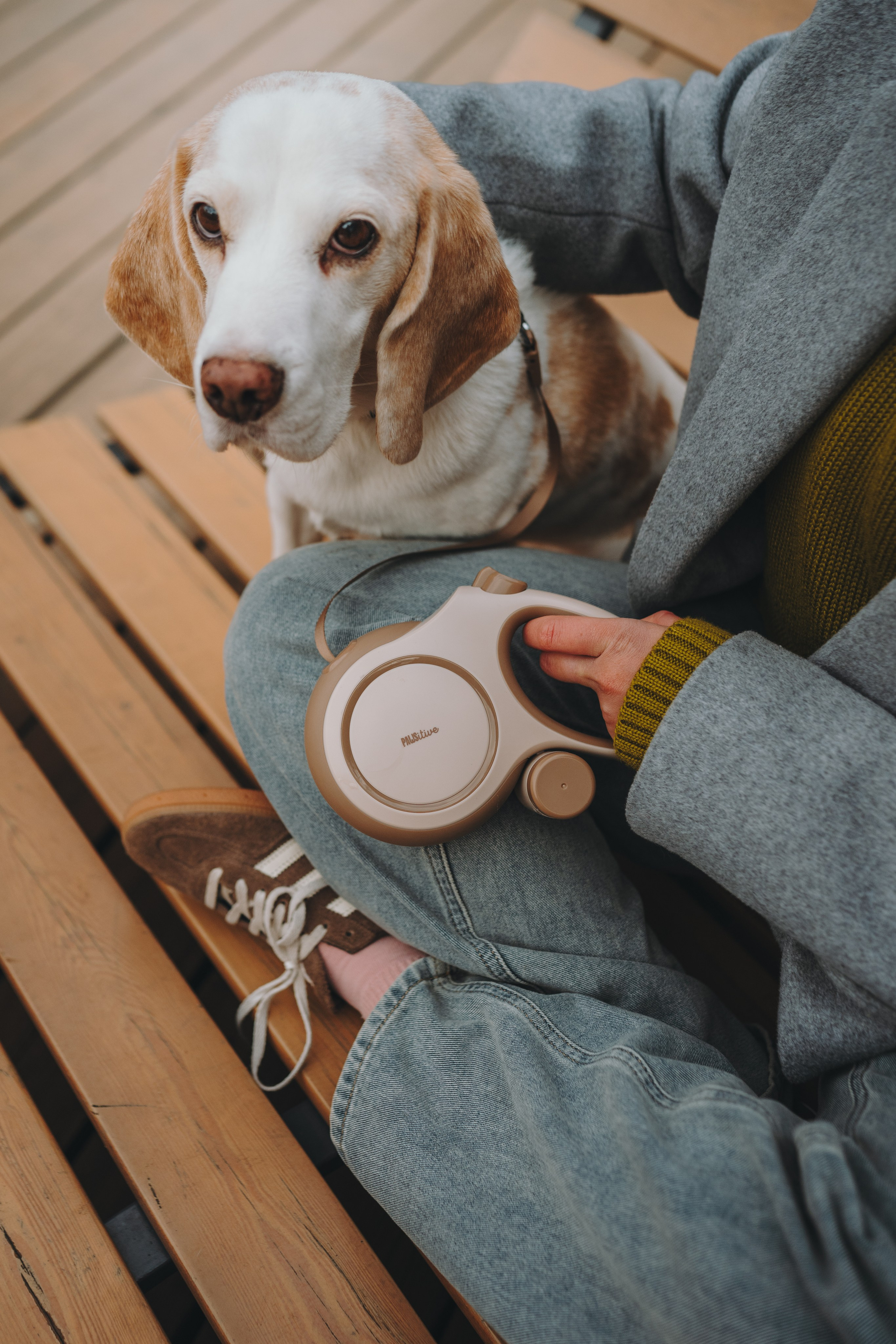 Pawsitive. Семейный фотограф анималист Ананьева Мария — Москва