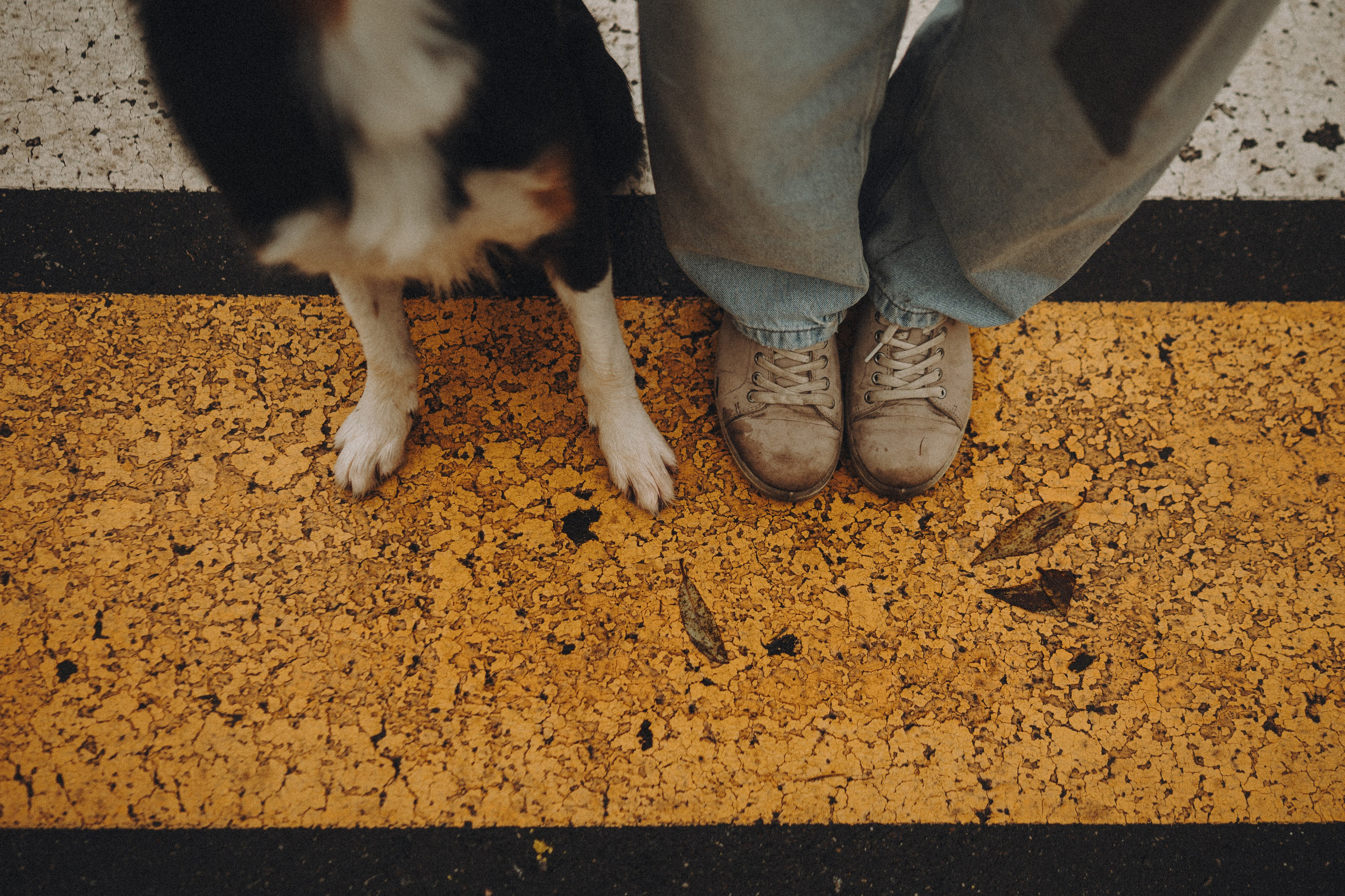 Аня, Оскар и Яр. Семейный фотограф анималист Ананьева Мария — Москва