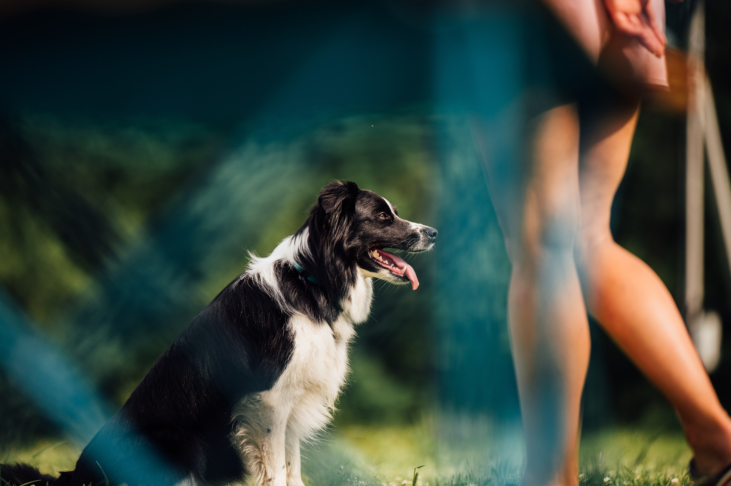 Регина и Эстер. Семейный фотограф анималист Ананьева Мария — Москва