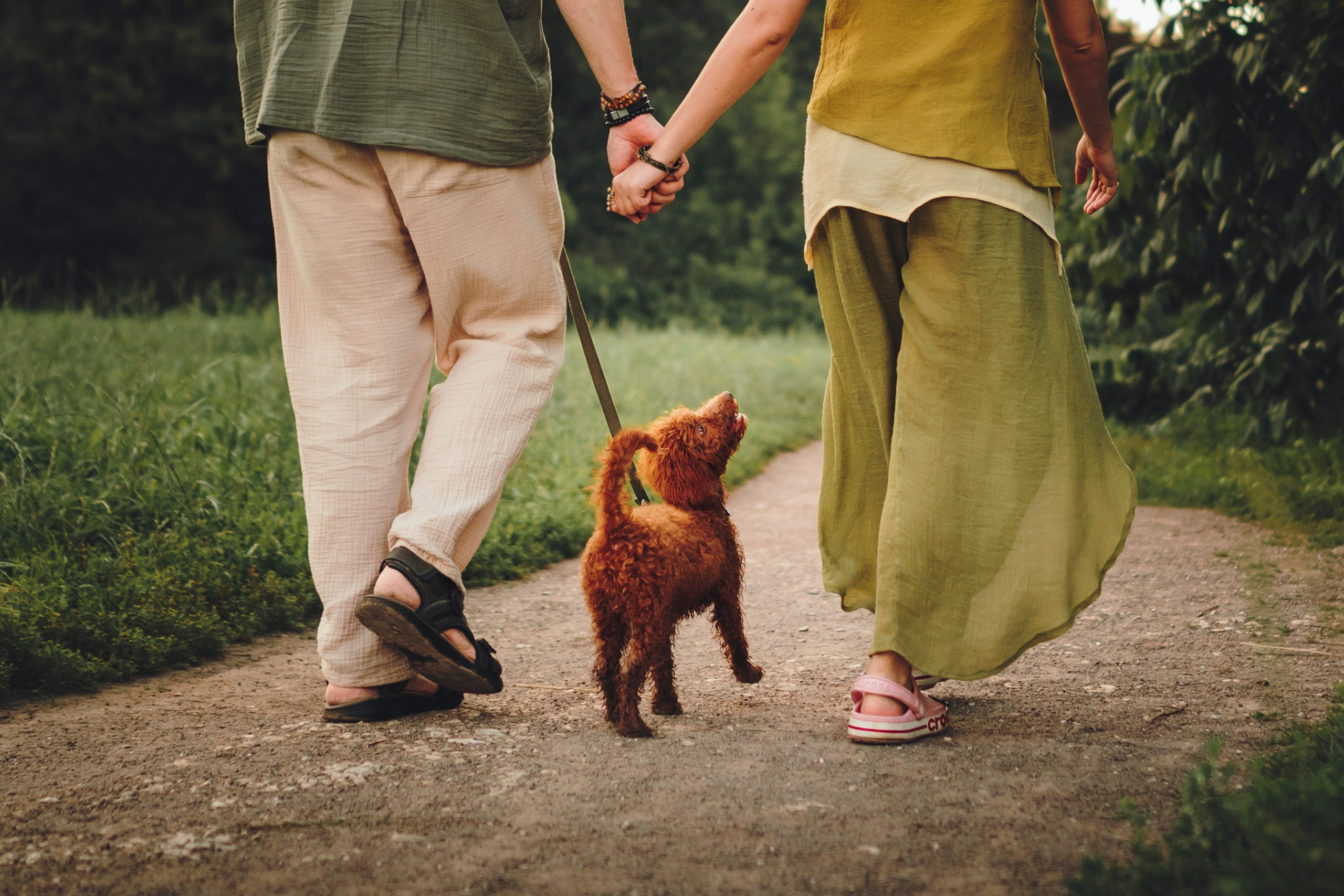 Марина, Тарас и Хагрид. Семейный фотограф анималист Ананьева Мария — Москва