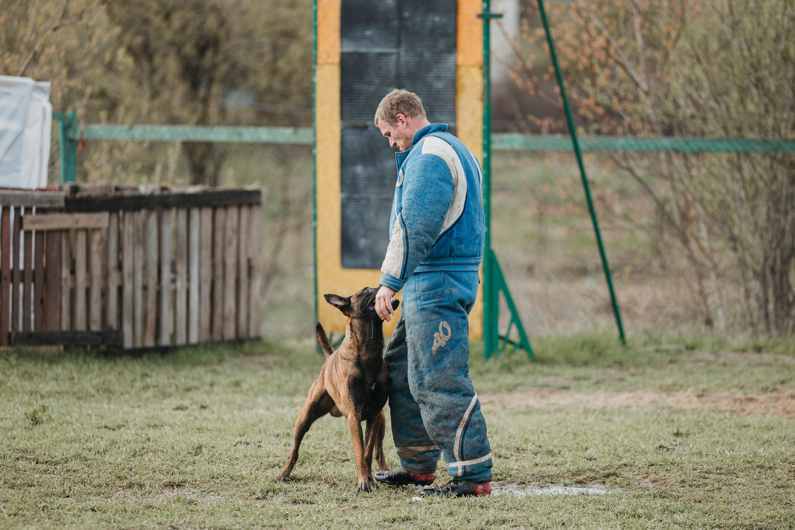 09.05.25 Вологда соревнования. Фотограф-анималист Анна Маринич