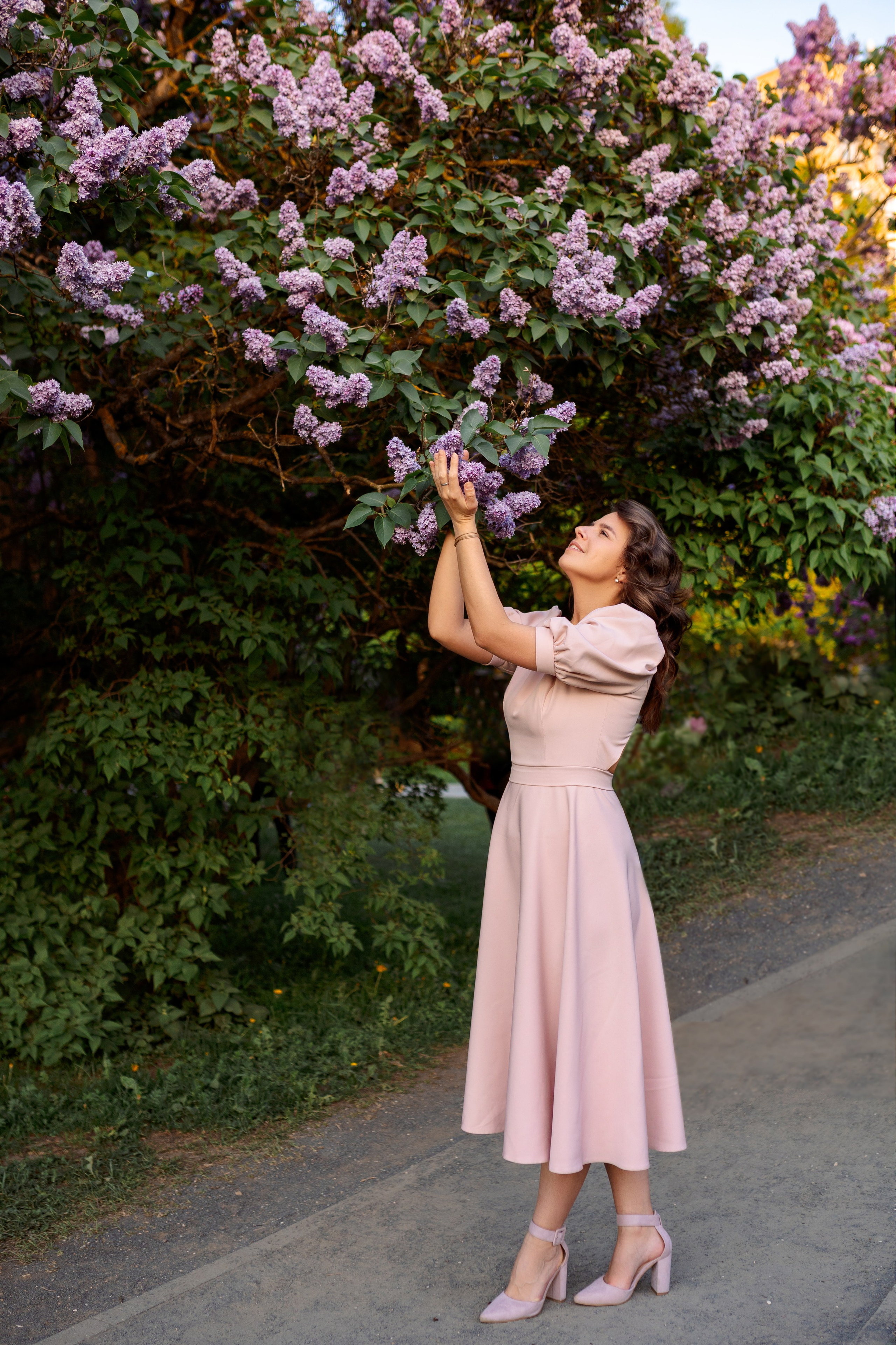 Цветение в сиреневом саду. Главная