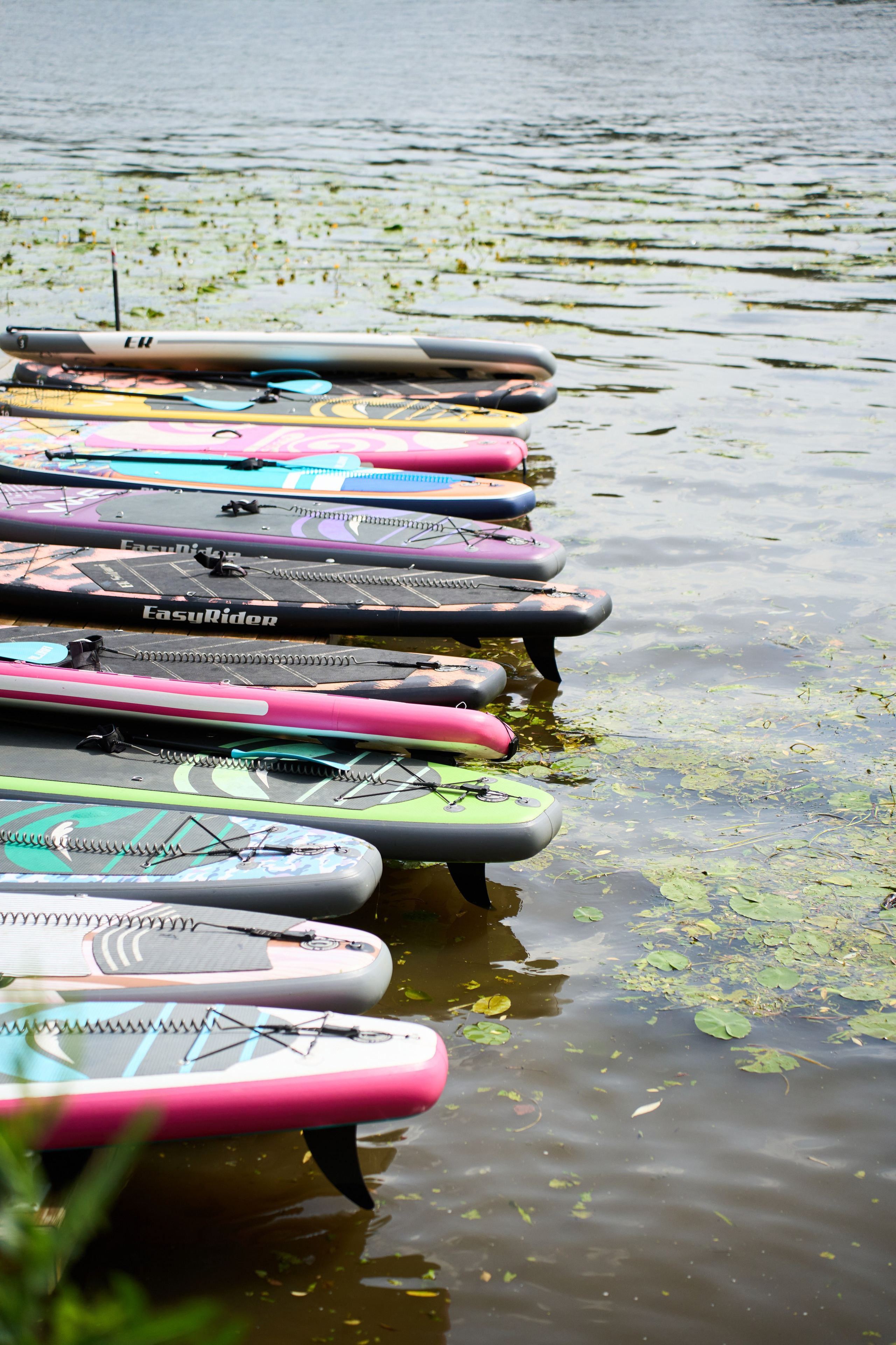All-hands Третье Мнение 2025. Елизавета Мальгина, фотограф в Москве