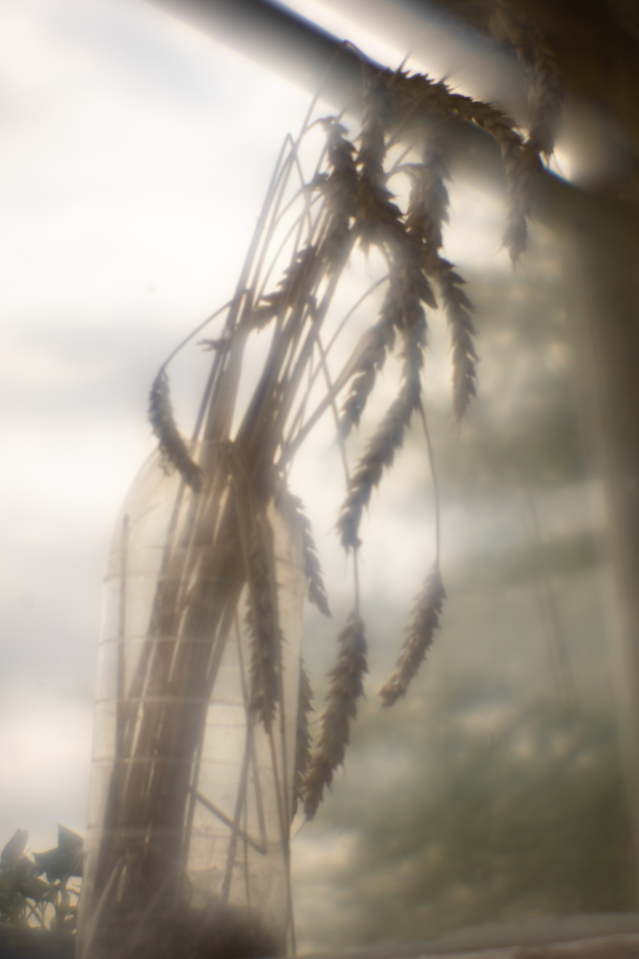 Пикториальный альбом. Семейный LIFESTYLE фотограф в Москве